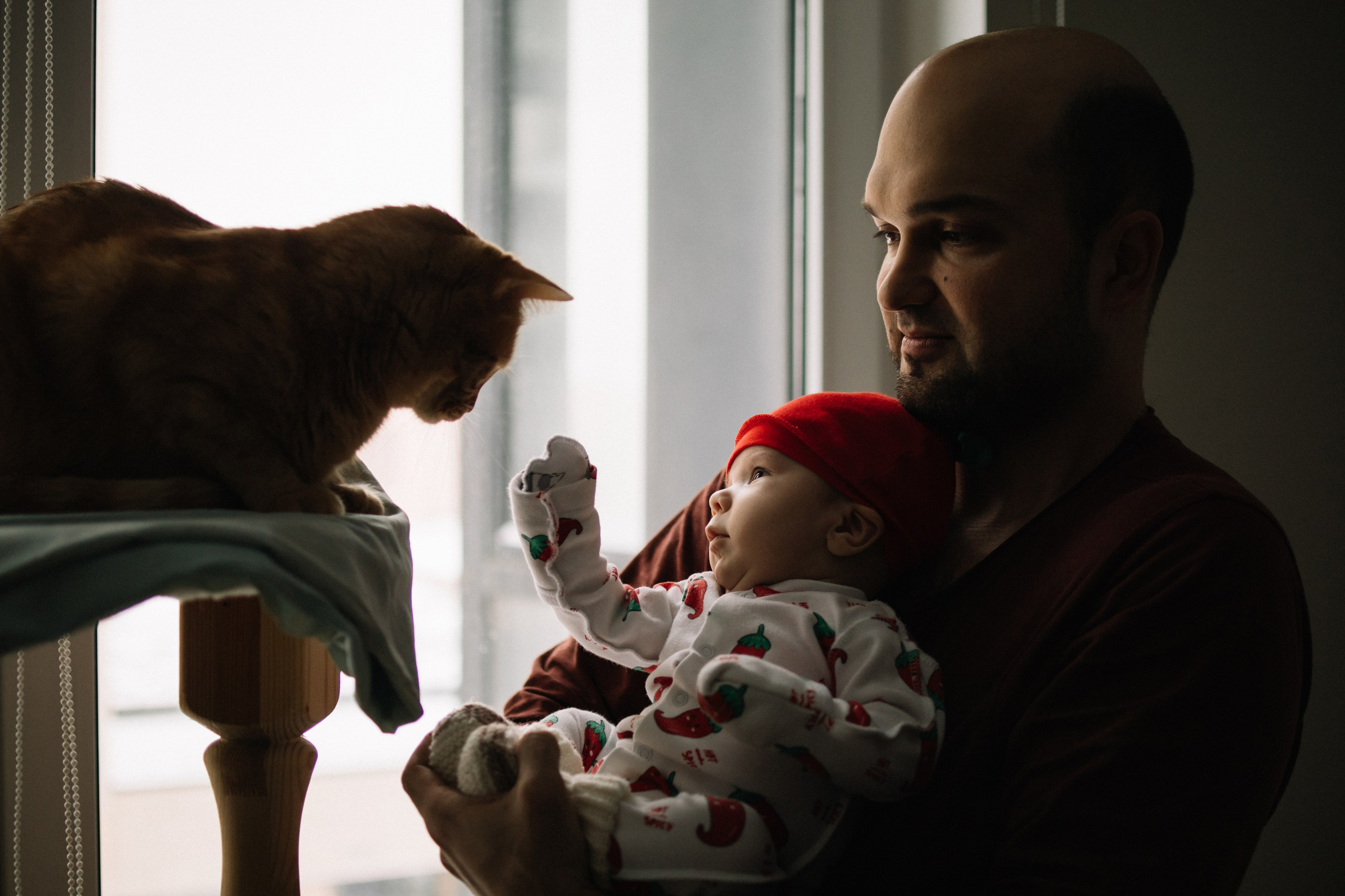 Домашняя съемка. Семейный фотограф в Томске Максимова Екатерина