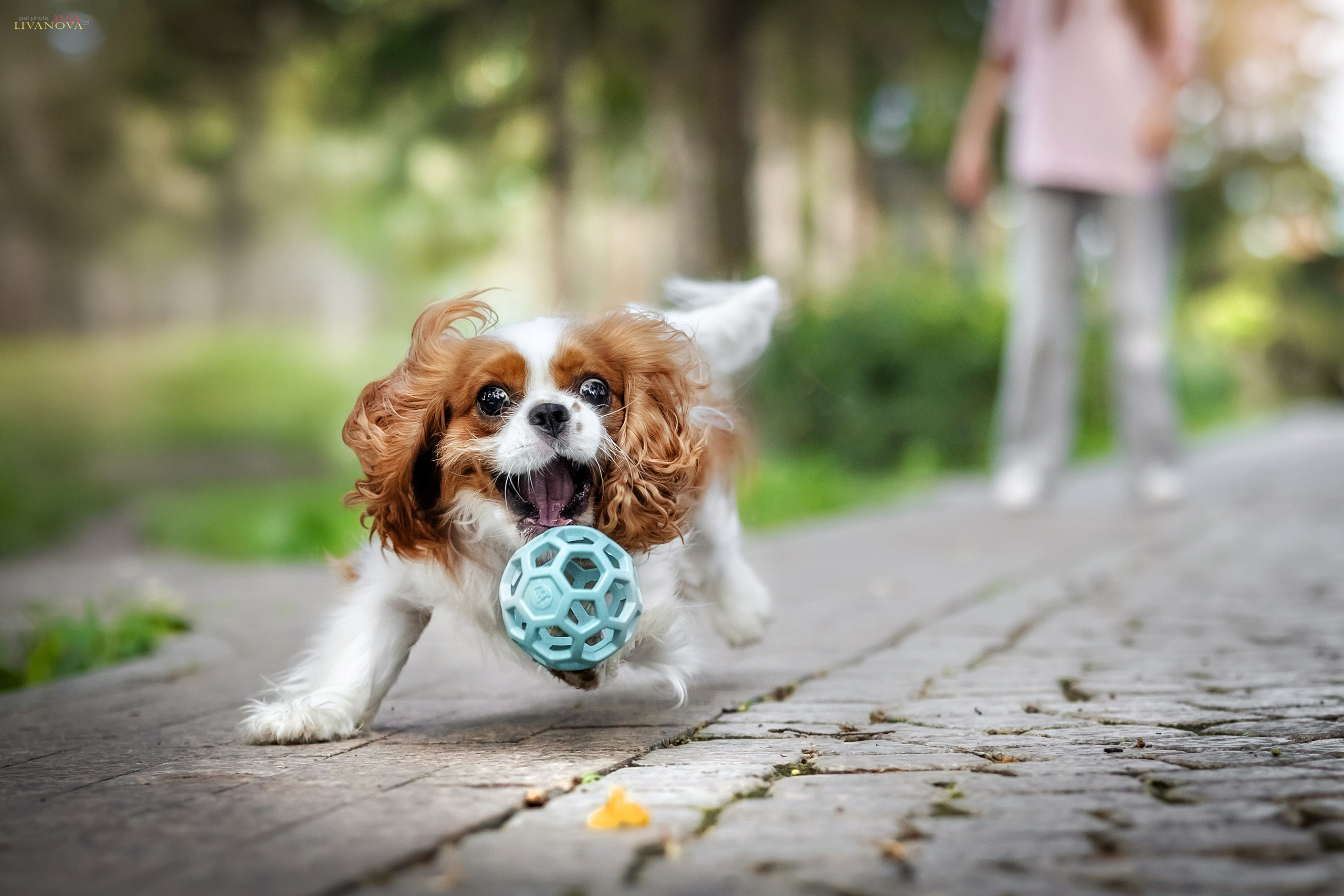 Маруся и Энди. Фотограф анималист Аня Ливанова | Рыбинск