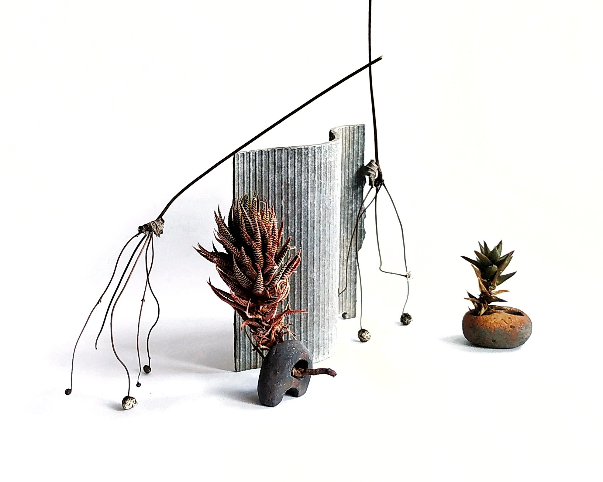 Personal. Настасья Проценко. Фотограф