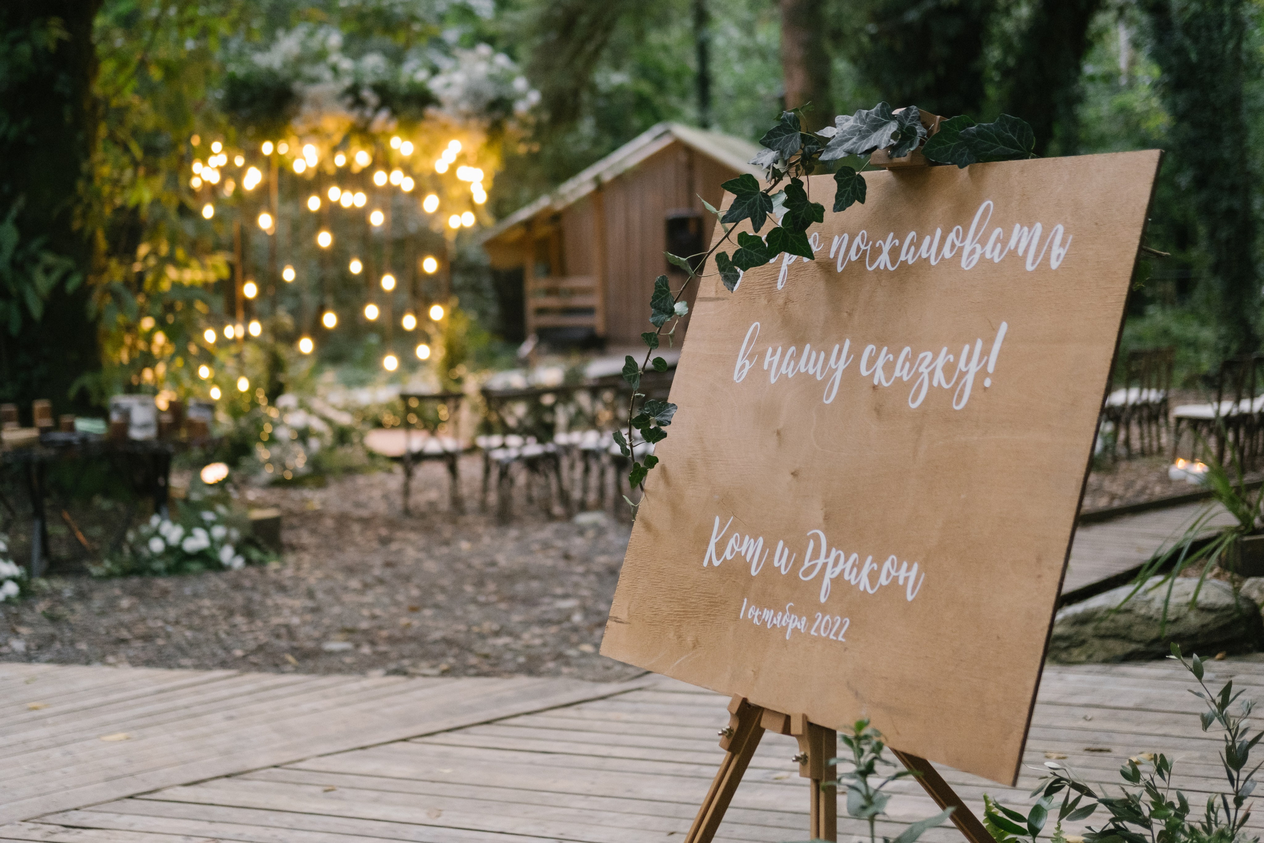 Кот и Дракон. Свадебный Видеограф Фотограф в Сочи