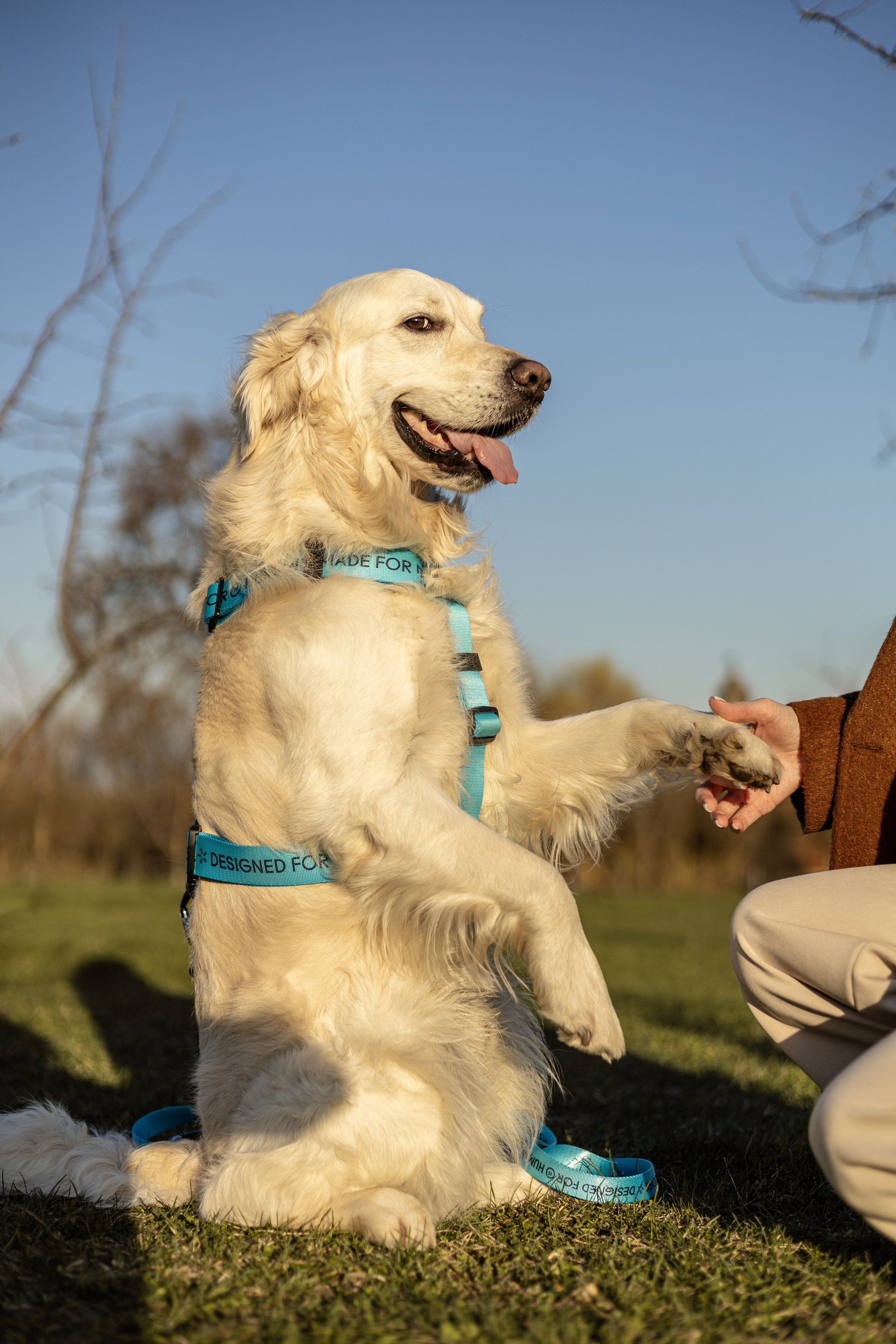 Зиз и Юля. Часть 2. Фотограф-анималист Ксения Шевцова|Москва