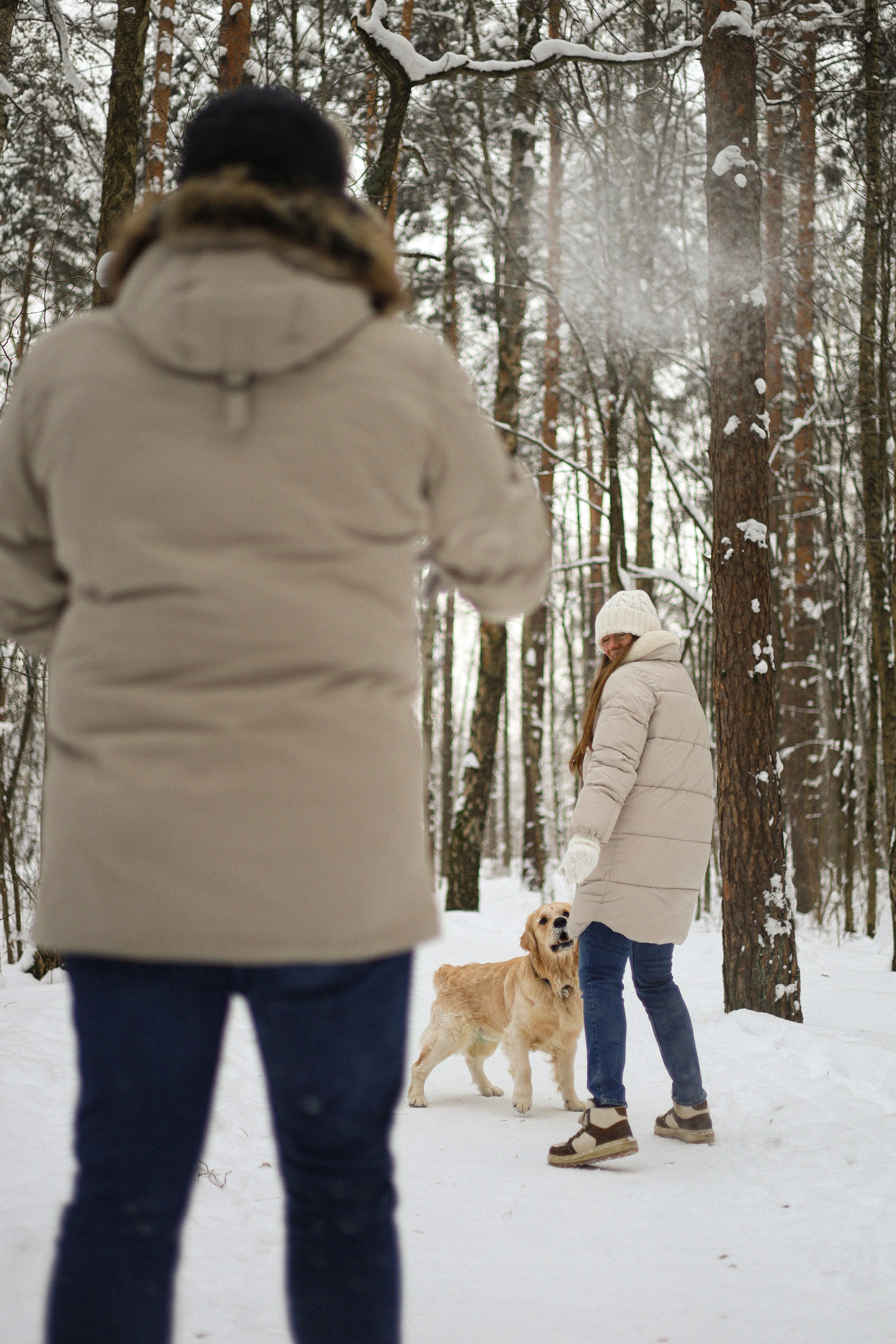 Стивен, Лена и Миша. Фотограф-анималист Ксения Шевцова|Москва