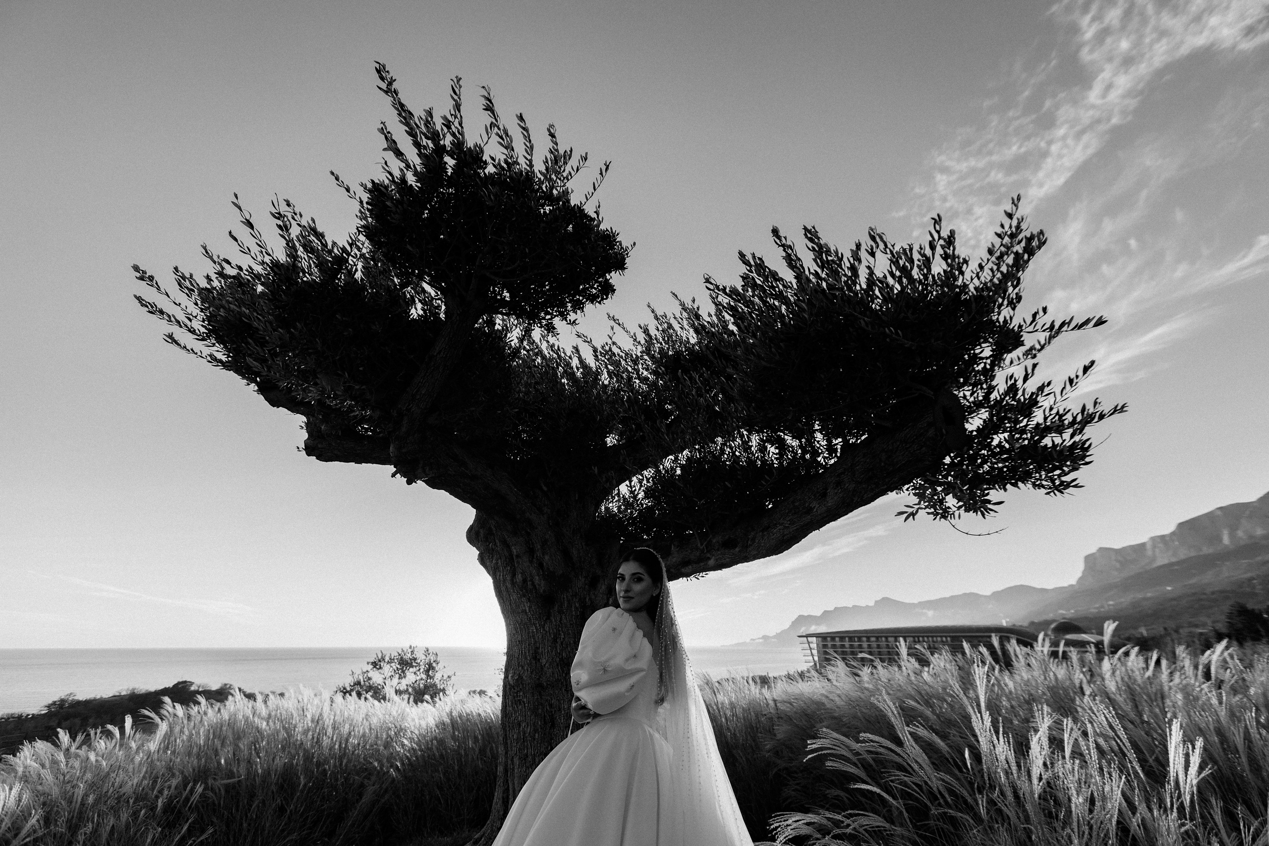 Микаэл и Шушана — Анонс свадьбы. Свадебный фотограф, фотосъемка в Крыму, Севастополе, Симферополе, Ялте