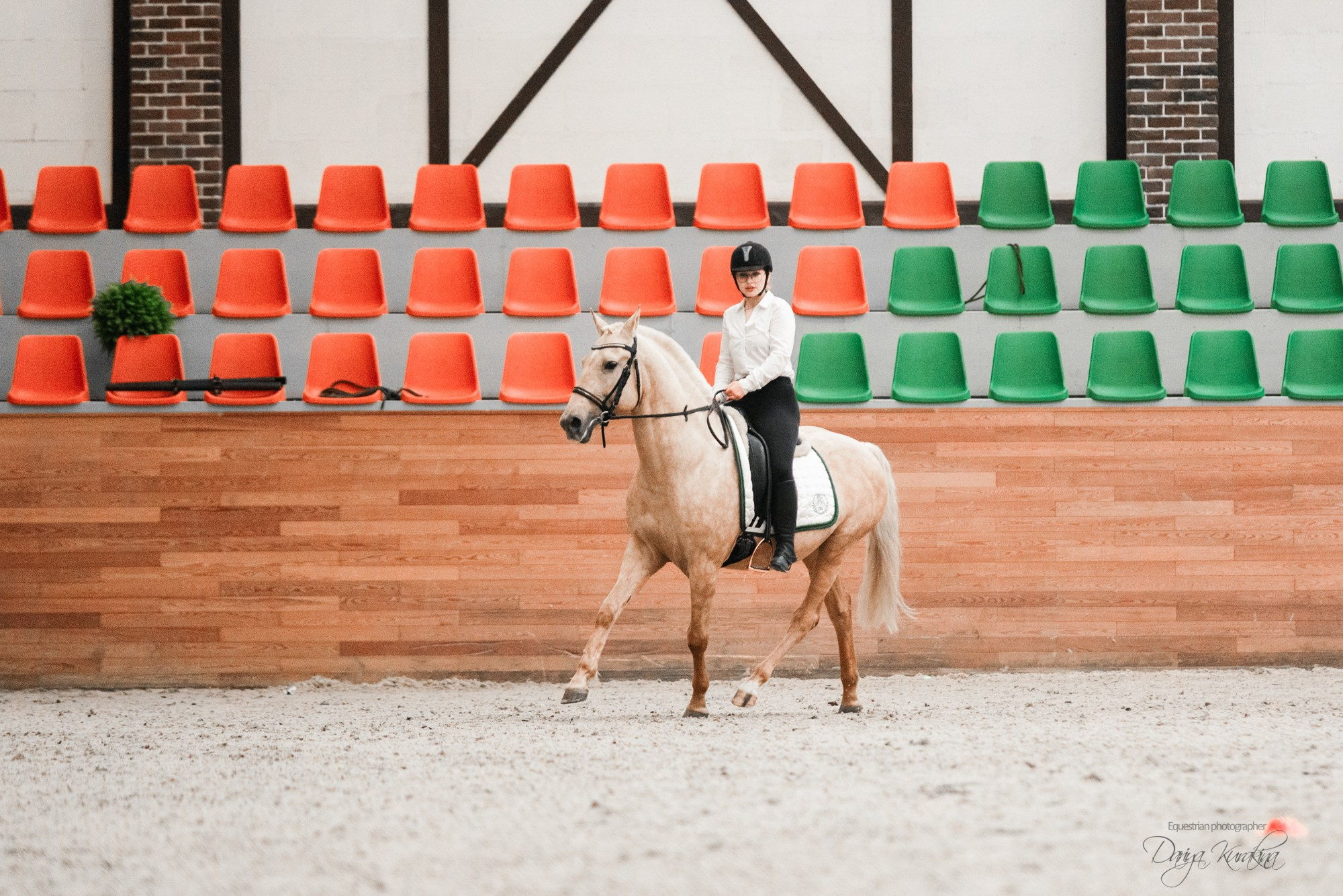 8-я международная выставка Конная Россия. Конный фотограф Куракина Дарья • Фотосессии с лошадьми