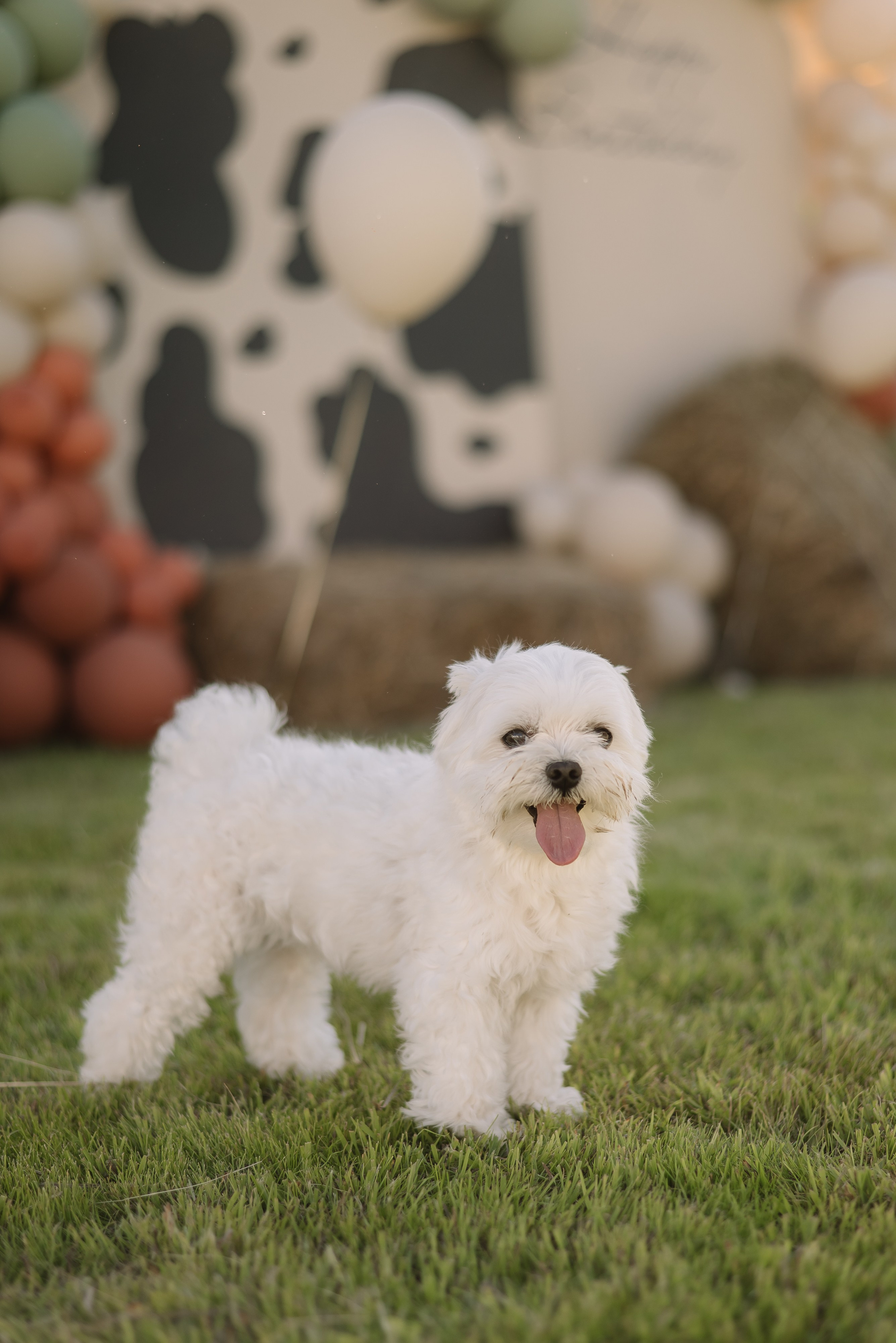 2 years Fedya. Фотограф Екатеринбург Александра Гнусина