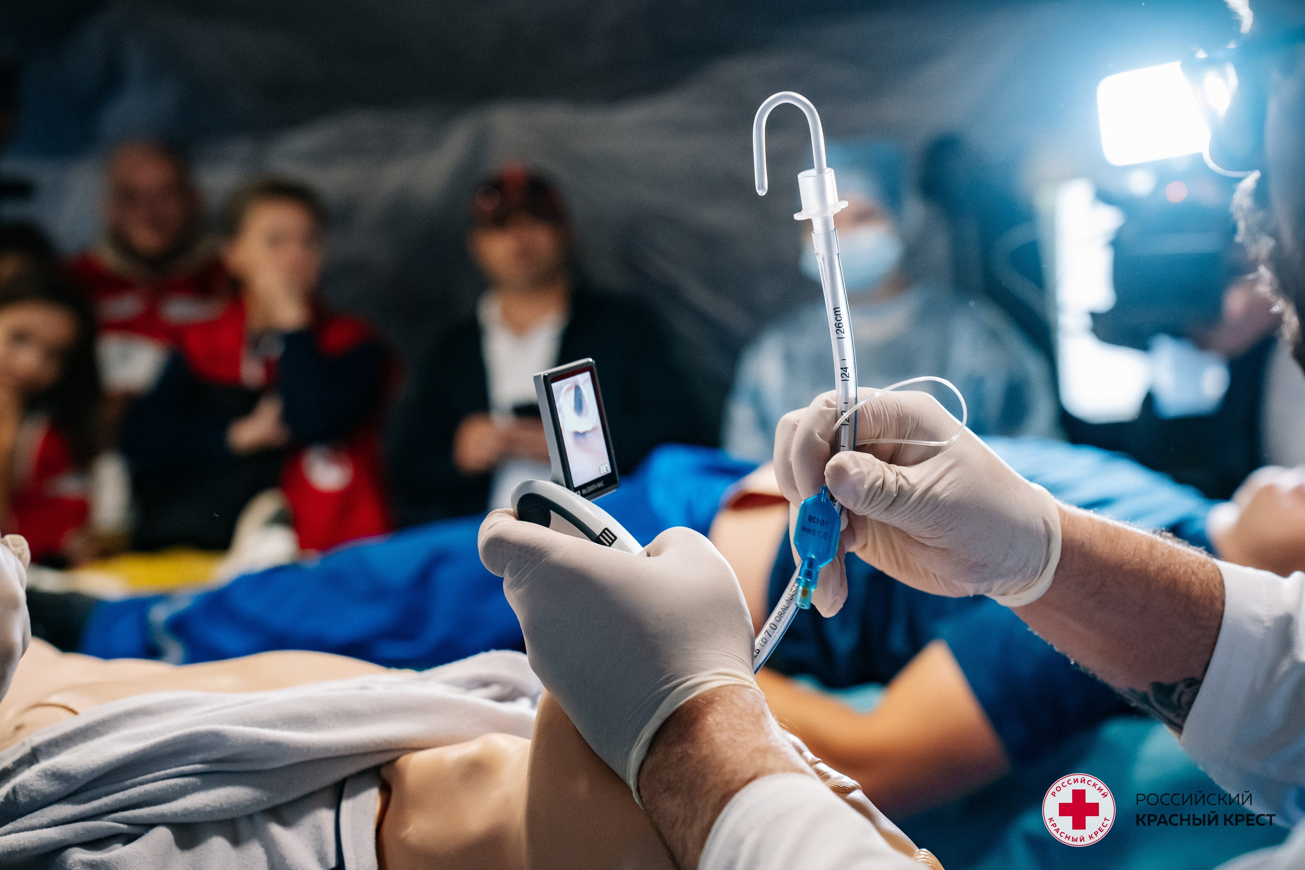 Красный крест | Дегас, медвежья берлога. Фотограф в Воронеже Ольга Космодемьянская