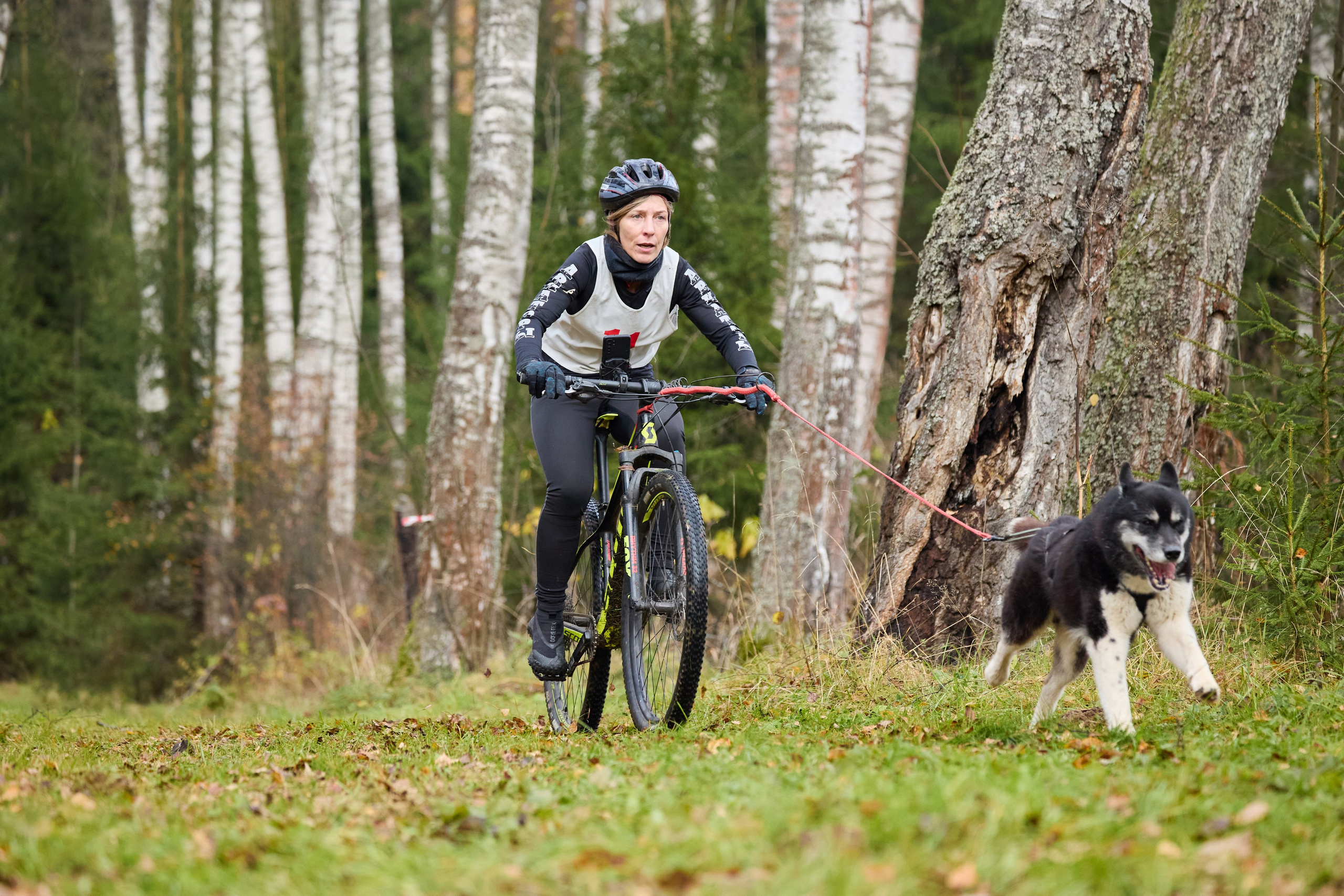 Чемпионат по ЕС Ярославской области. Фотограф Ирина Астор