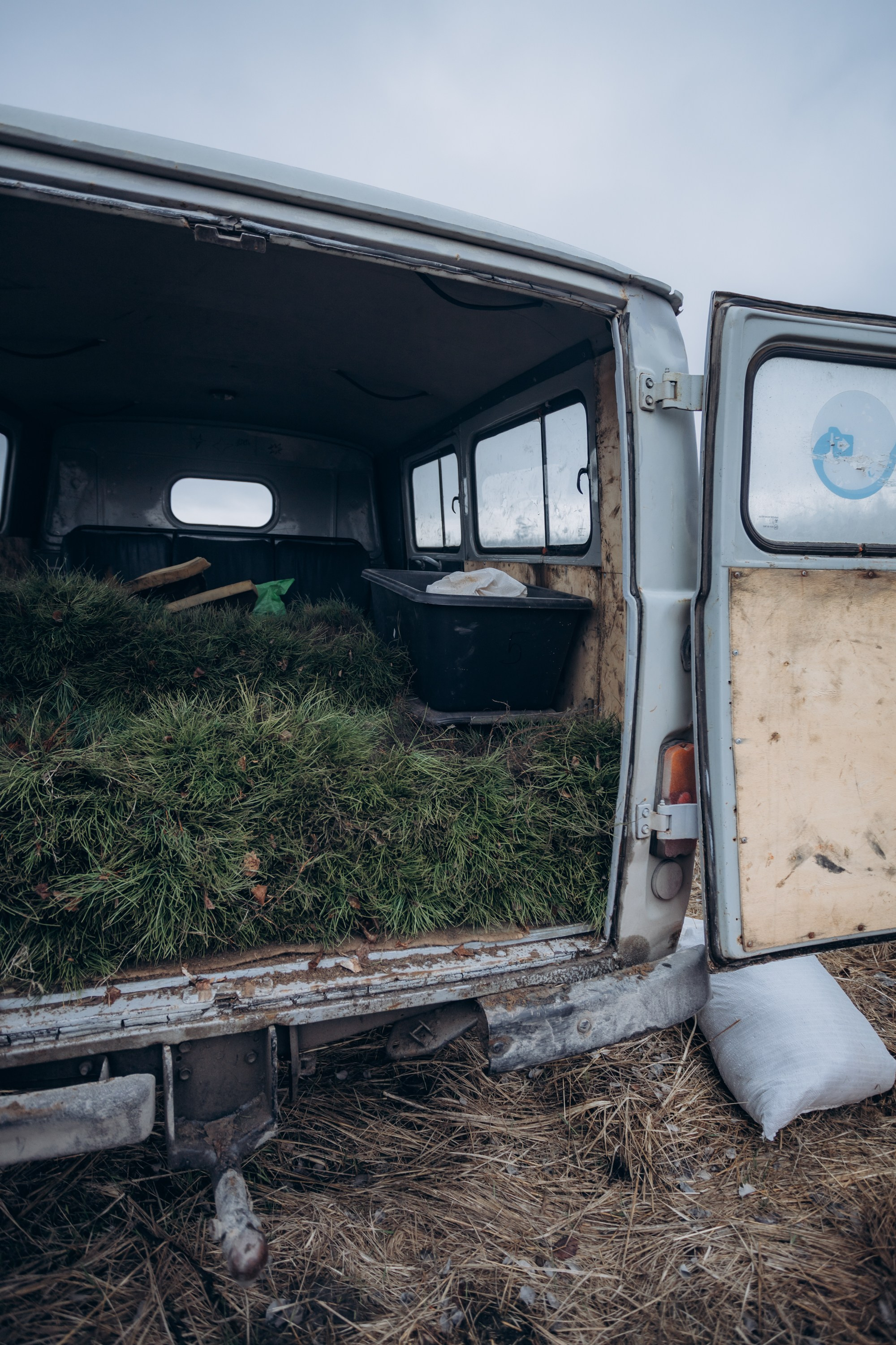 Акция «Лес будущего». Артём Панфилов — Свадебный и семейный фотограф в Ростове-на-Дону