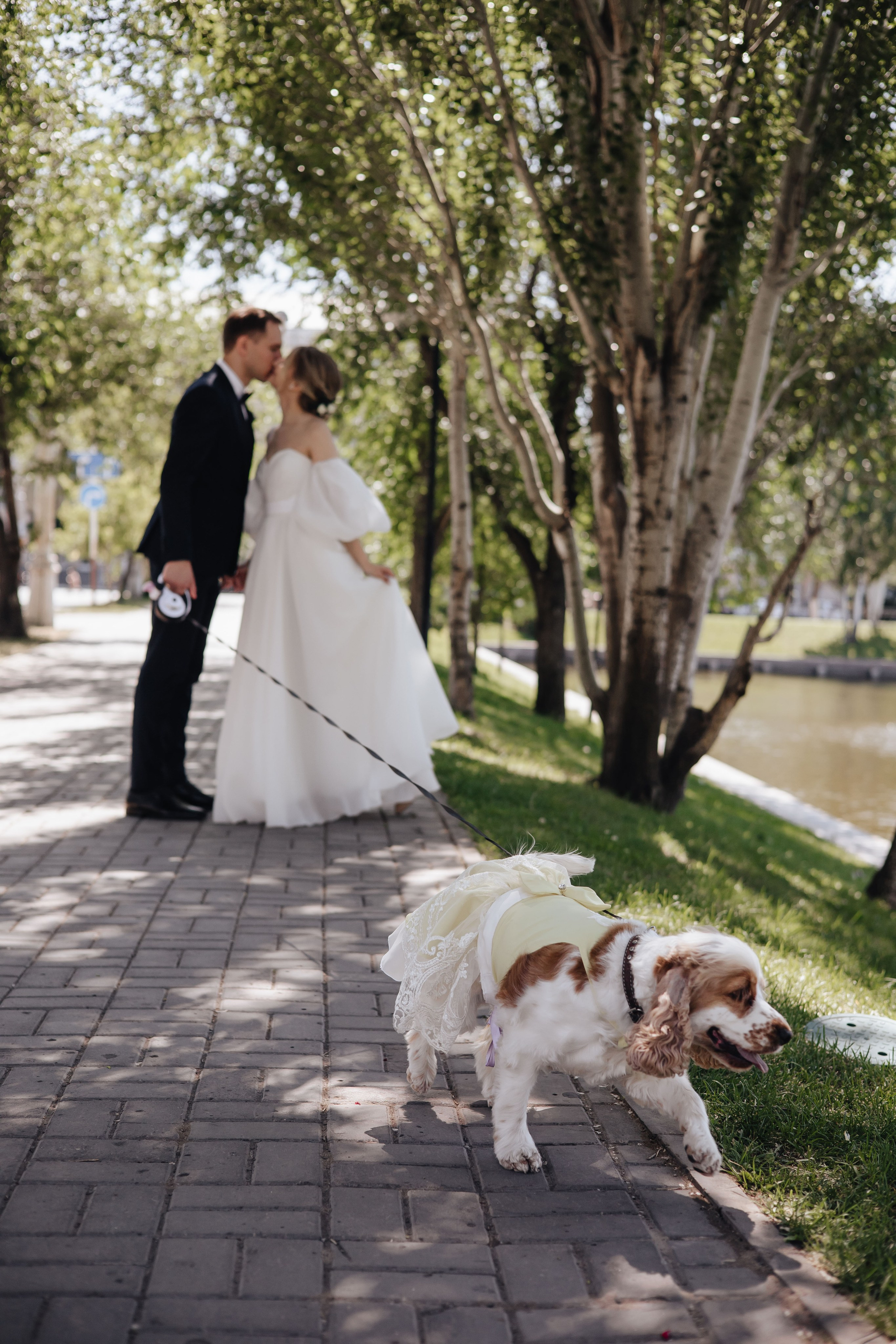 Портфолио. Свадебный фотограф в Астрахани Саида Ивко