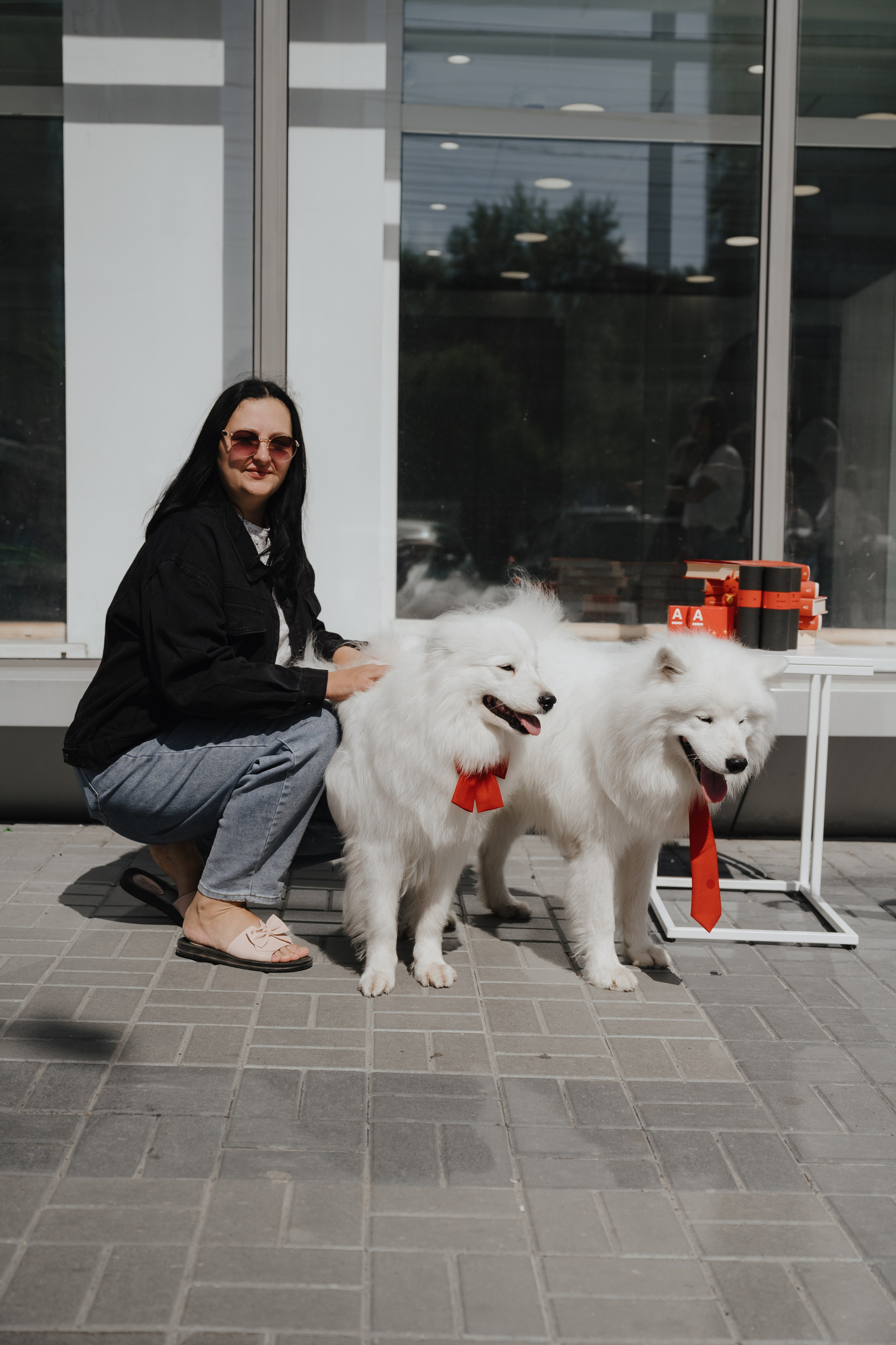 Альфа банк Карла Маркса 55. Фотограф Кристина Тумаева. Самоед Новосибирск