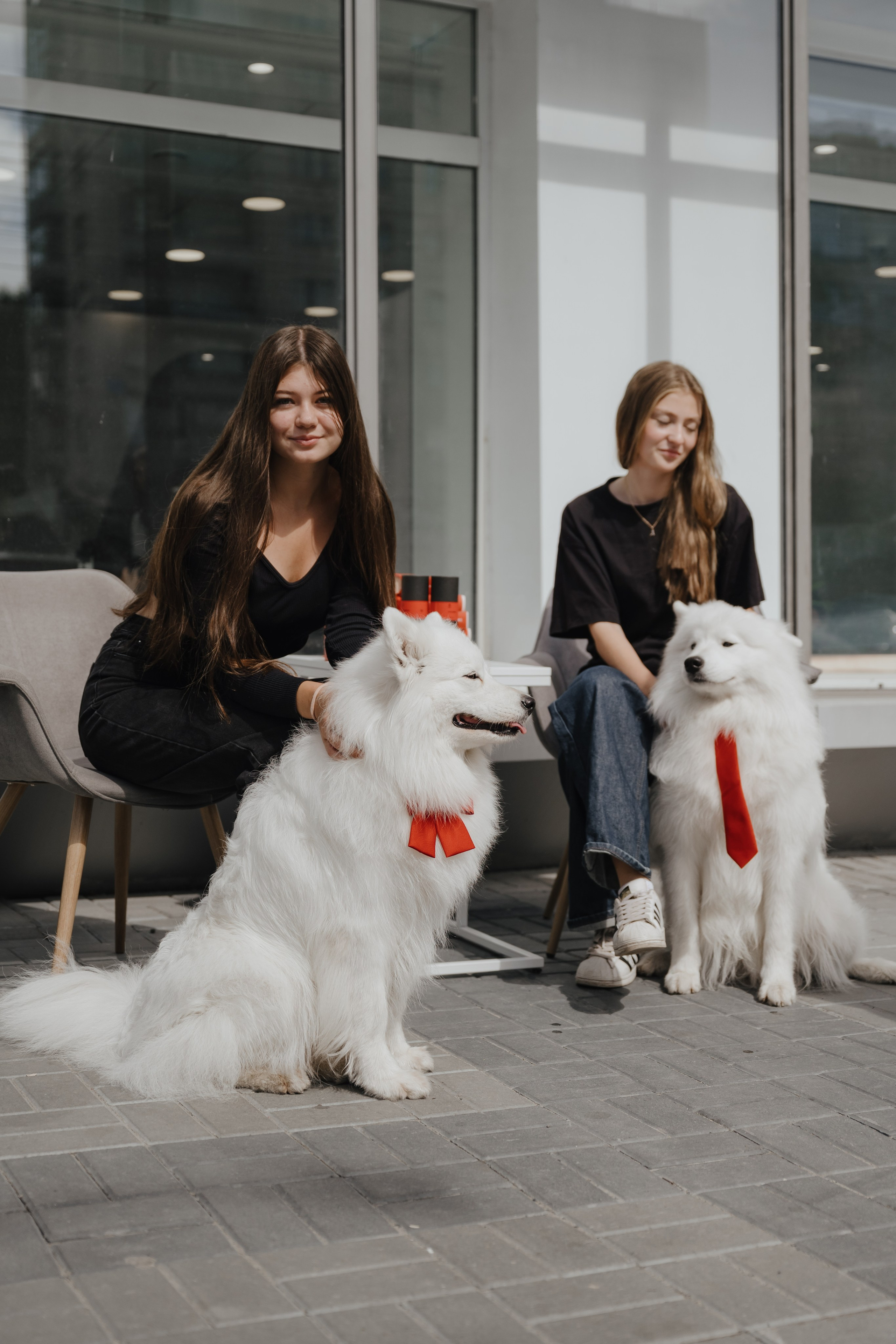 Альфа банк Карла Маркса 55. Фотограф Кристина Тумаева. Самоед Новосибирск