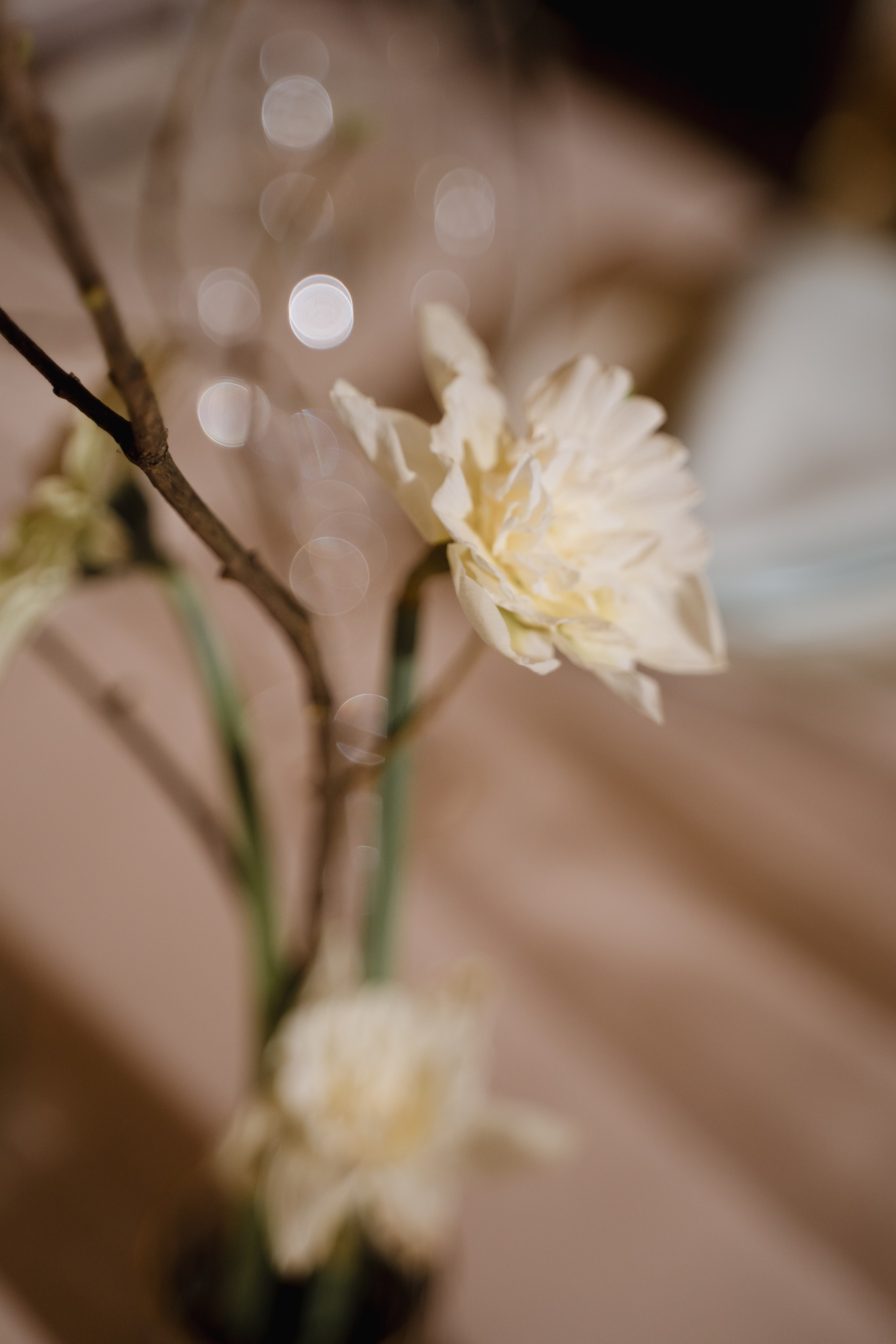 Полина и Артем. Фотограф в Москве Наталия Варакина