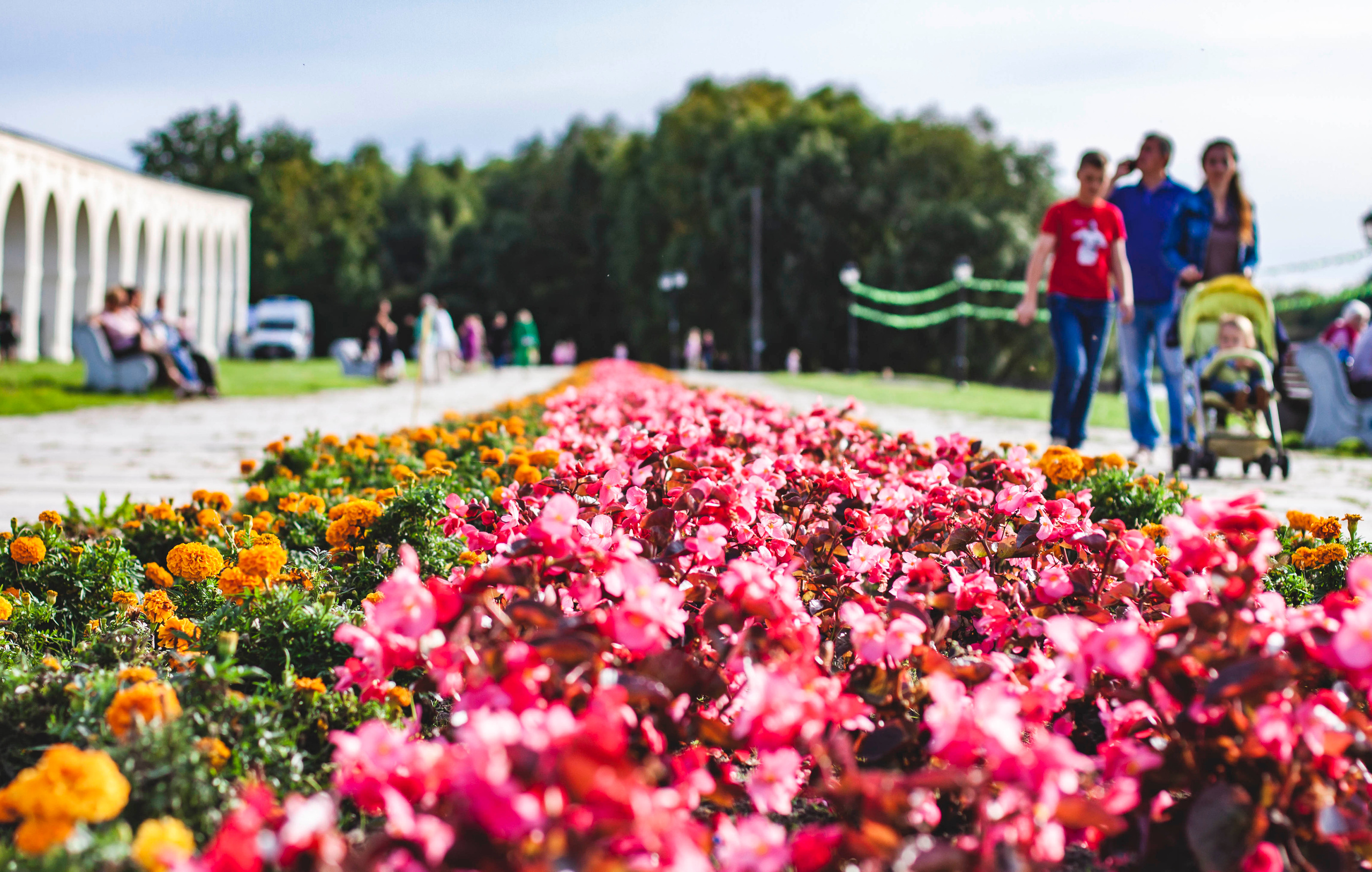Свое хозяйство В.Новгород 2019. Портретный фотограф в Бологое Михаил Кудрявцев