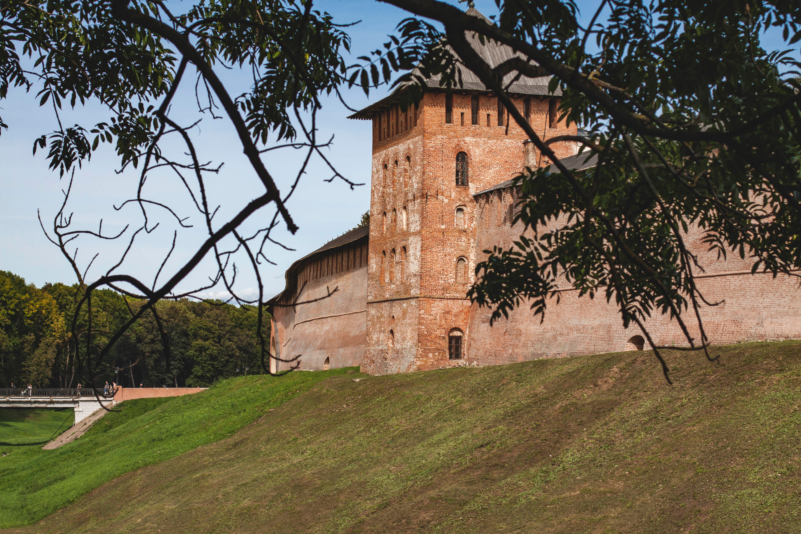 Свое хозяйство В.Новгород 2019. Портретный фотограф в Бологое Михаил Кудрявцев