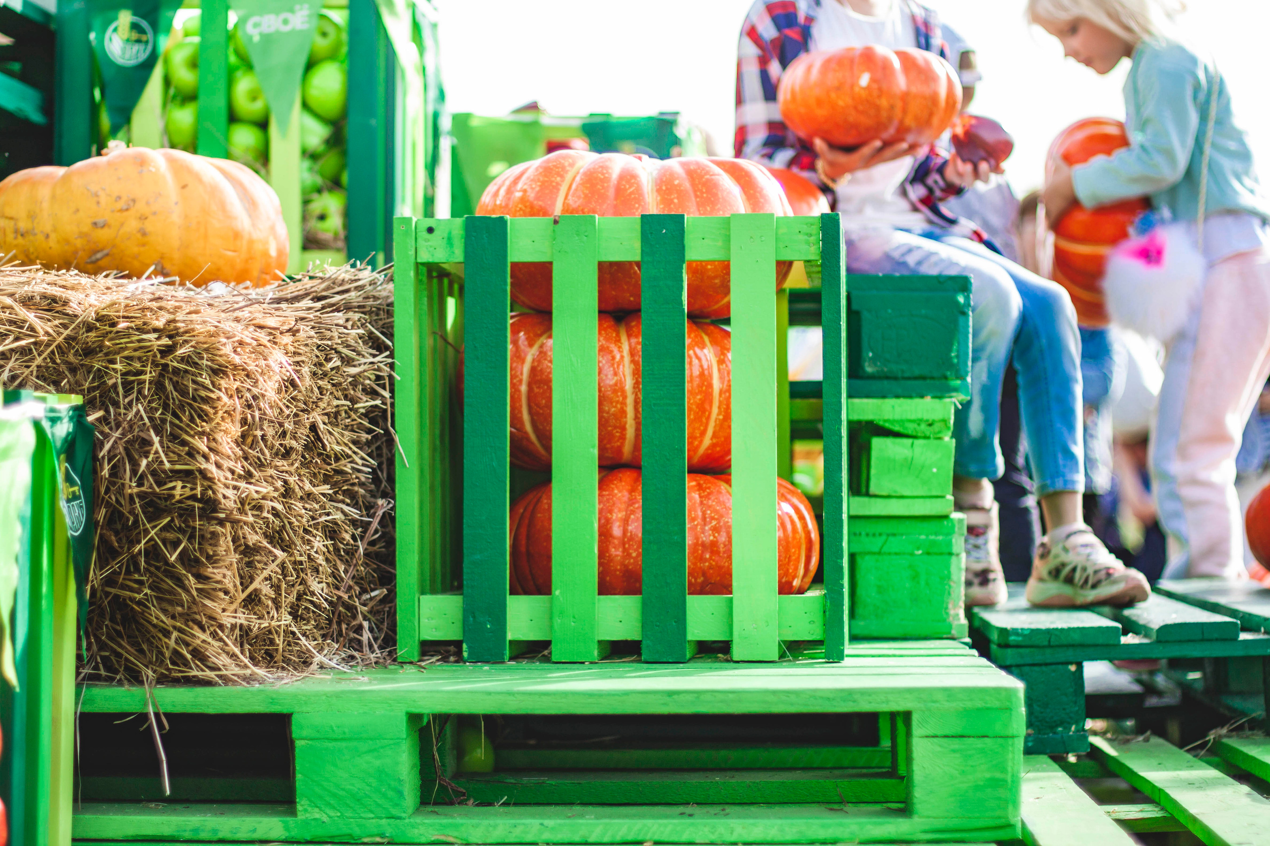 Свое хозяйство В.Новгород 2019. Портретный фотограф в Бологое Михаил Кудрявцев