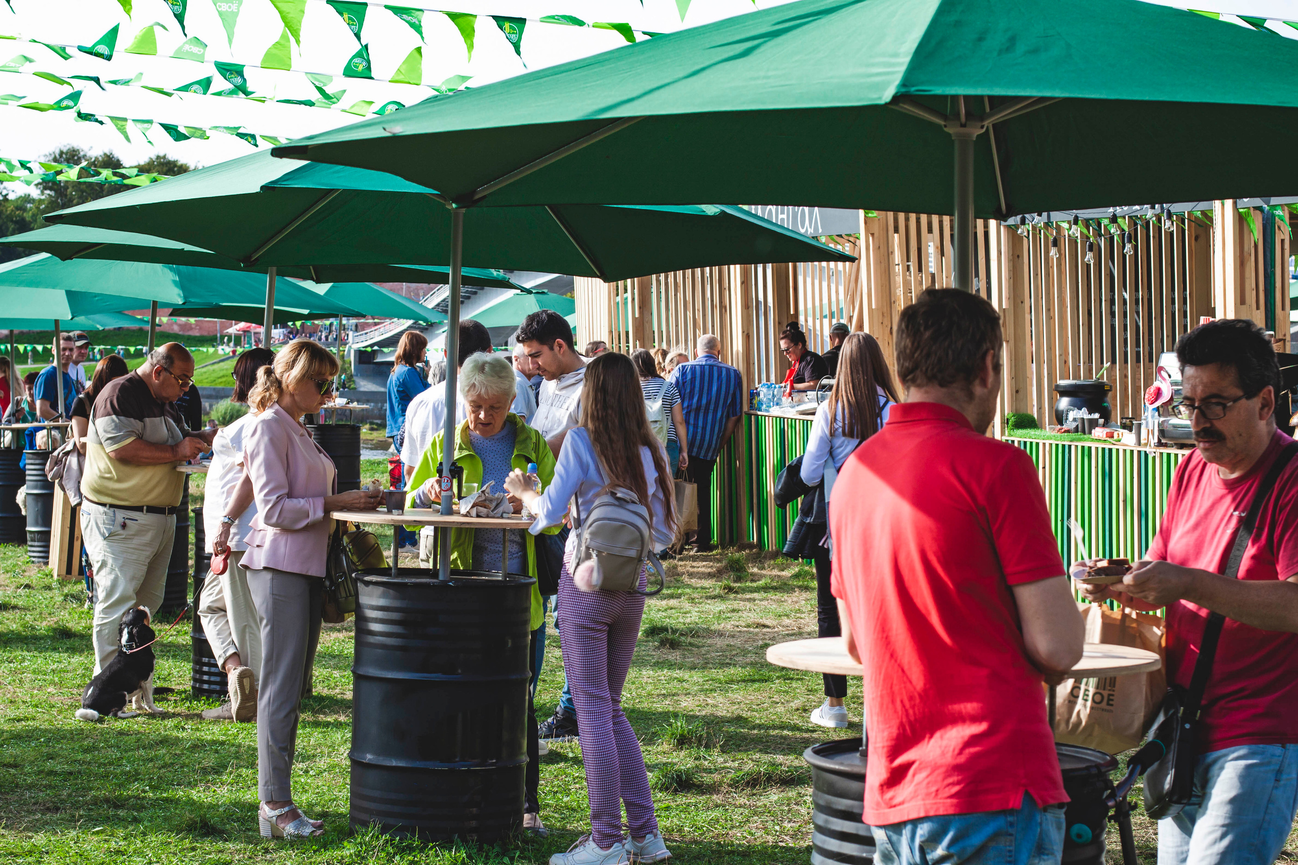 Свое хозяйство В.Новгород 2019. Портретный фотограф в Бологое Михаил Кудрявцев