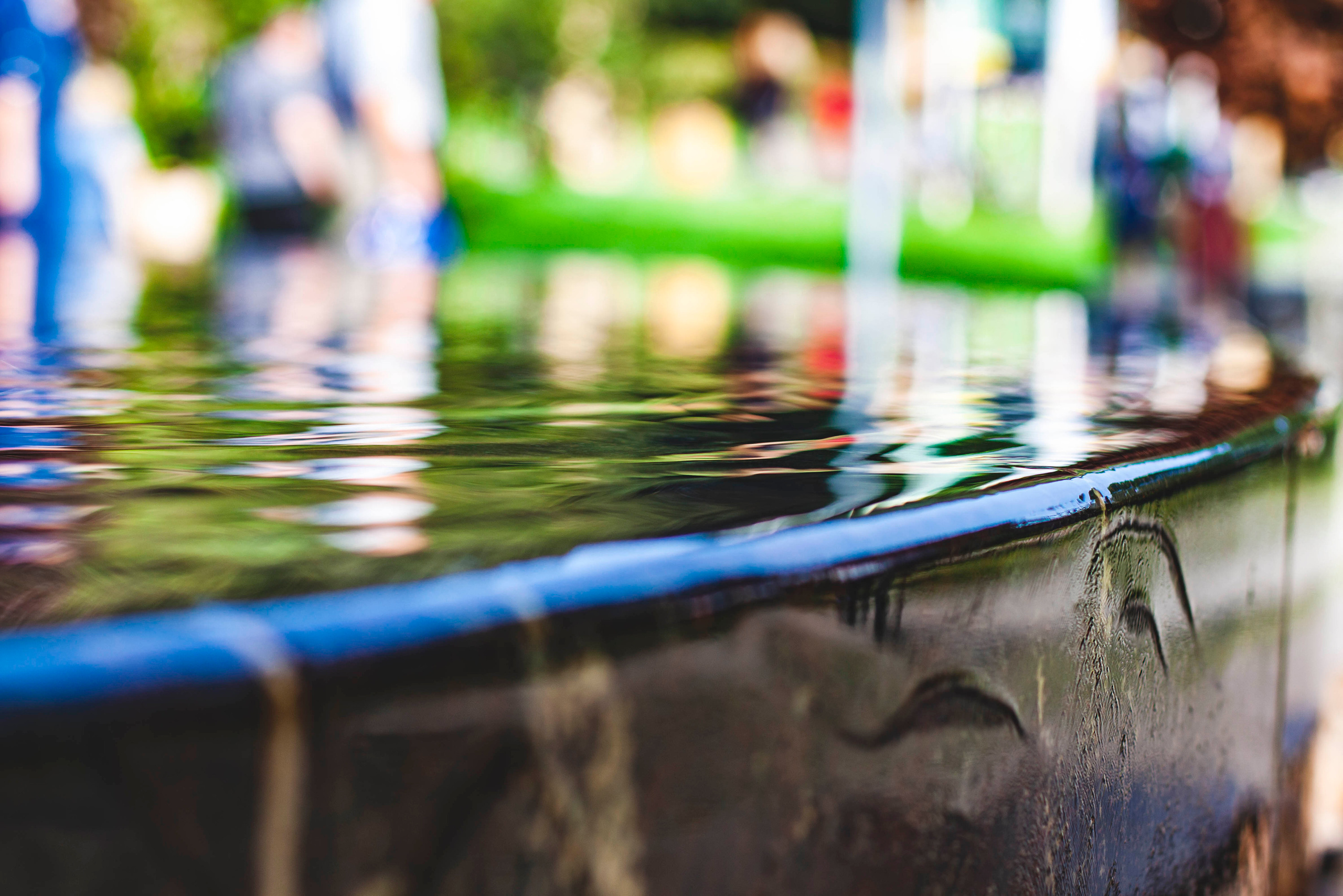 Свое хозяйство В.Новгород 2019. Портретный фотограф в Бологое Михаил Кудрявцев