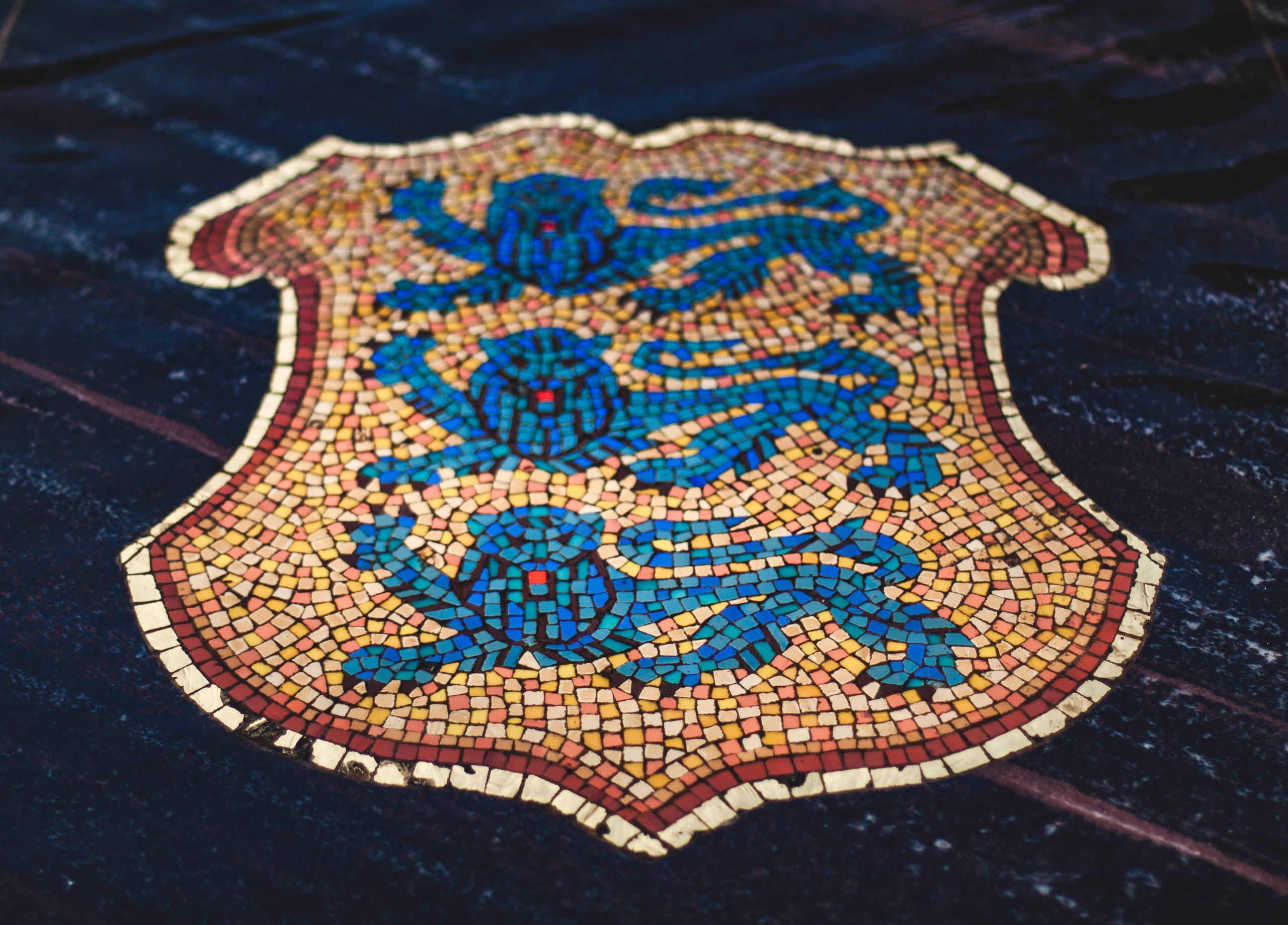 Свое хозяйство В.Новгород 2019. Портретный фотограф в Бологое Михаил Кудрявцев