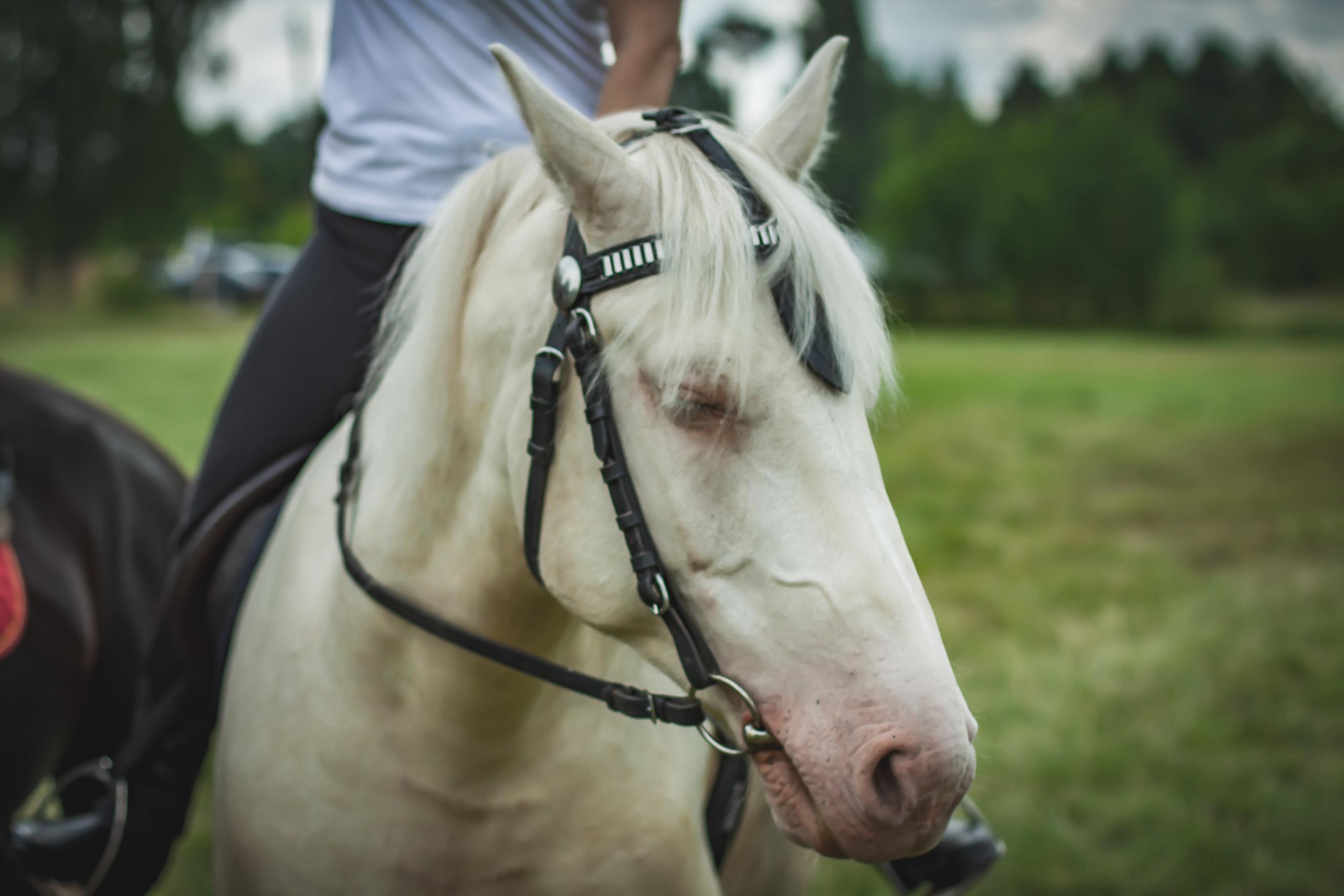 Казачьи игры Бологое 2019. Портретный фотограф в Бологое Михаил Кудрявцев