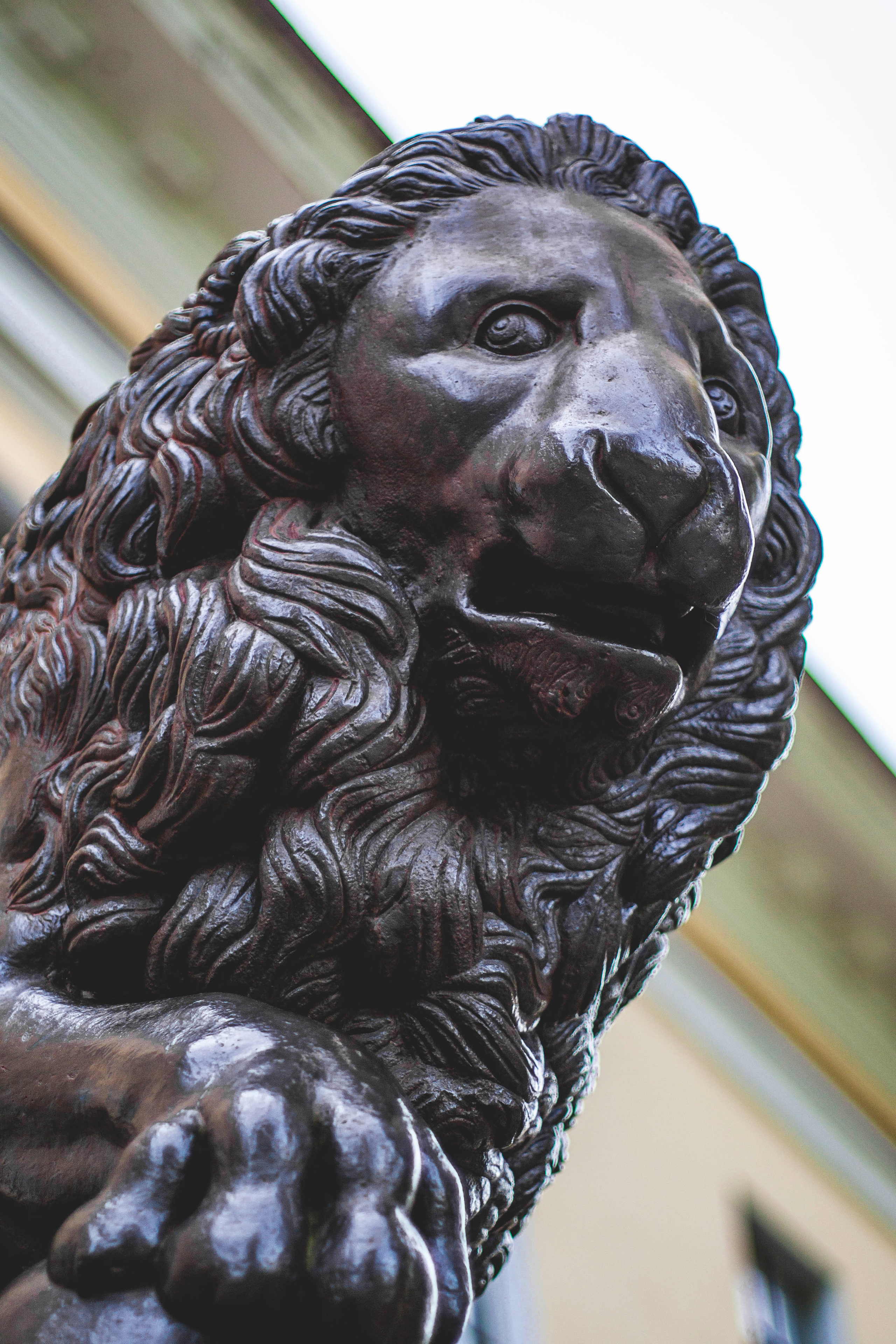 Свое хозяйство В.Новгород 2019. Портретный фотограф в Бологое Михаил Кудрявцев