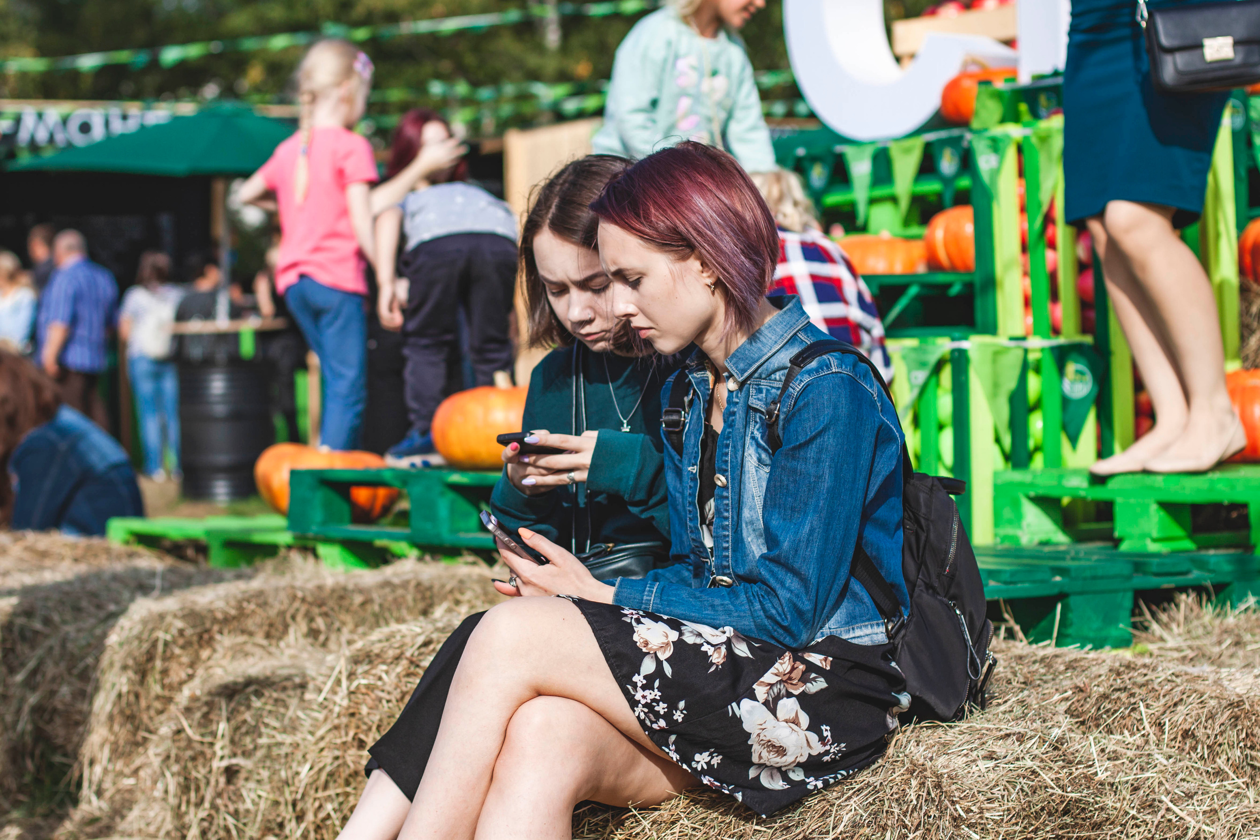 Свое хозяйство В.Новгород 2019. Портретный фотограф в Бологое Михаил Кудрявцев