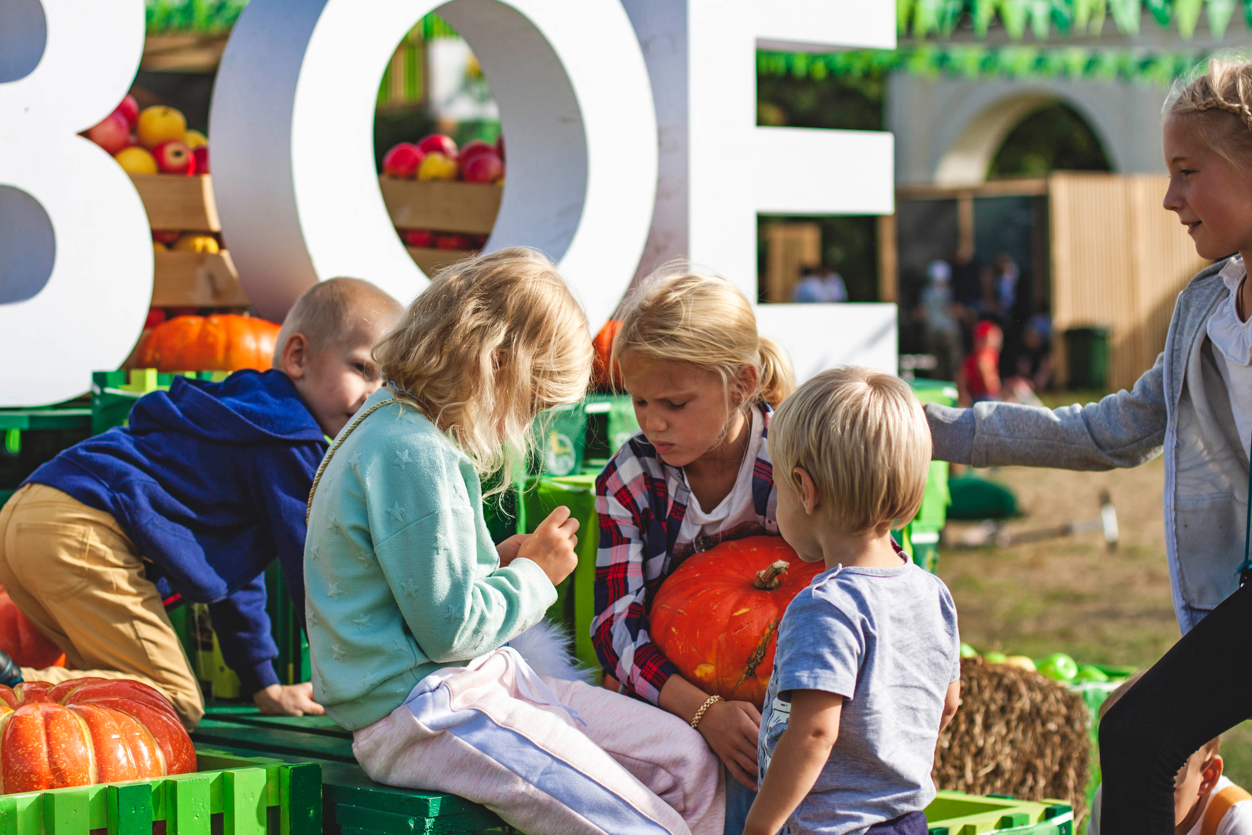 Свое хозяйство В.Новгород 2019. Портретный фотограф в Бологое Михаил Кудрявцев