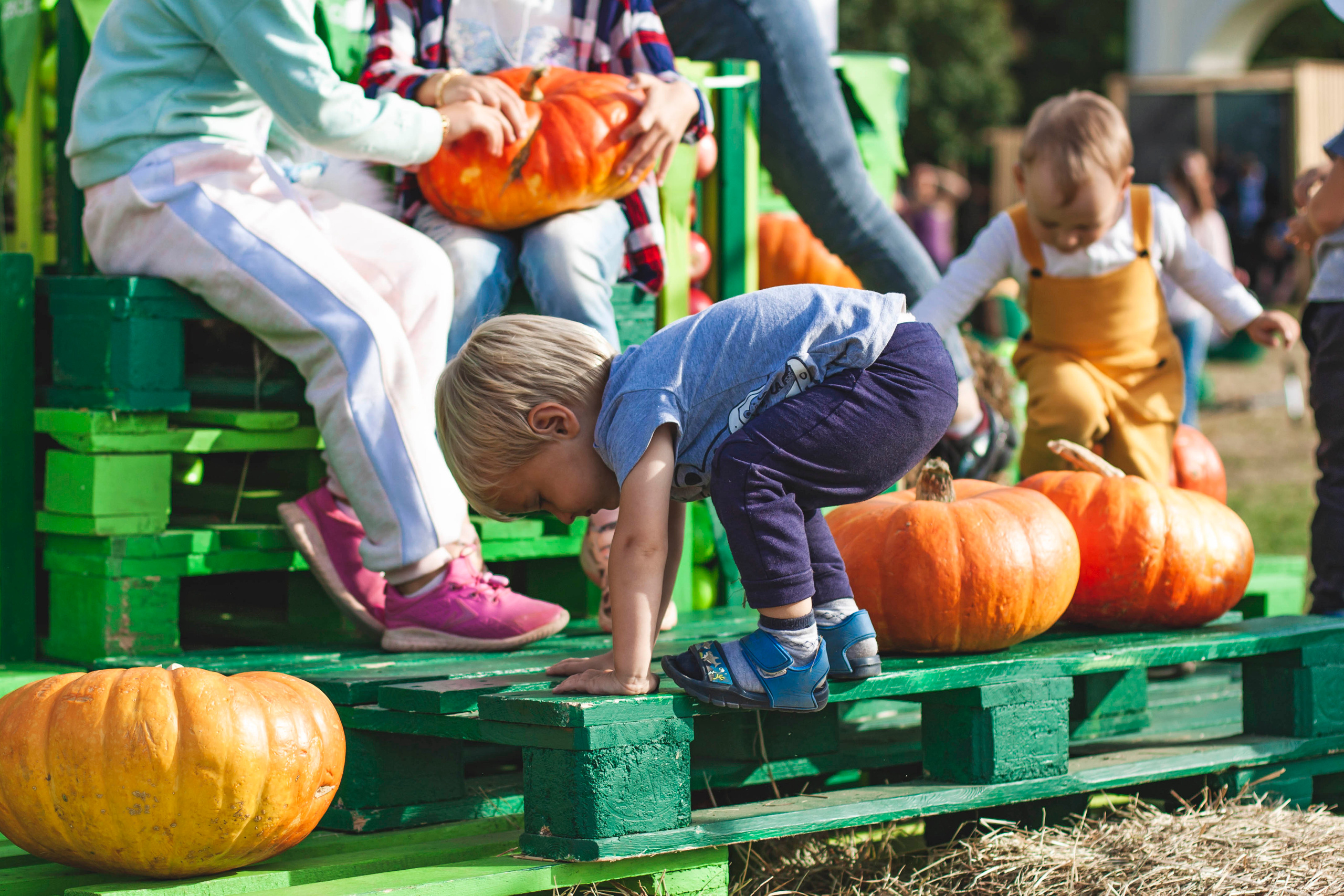 Свое хозяйство В.Новгород 2019. Портретный фотограф в Бологое Михаил Кудрявцев