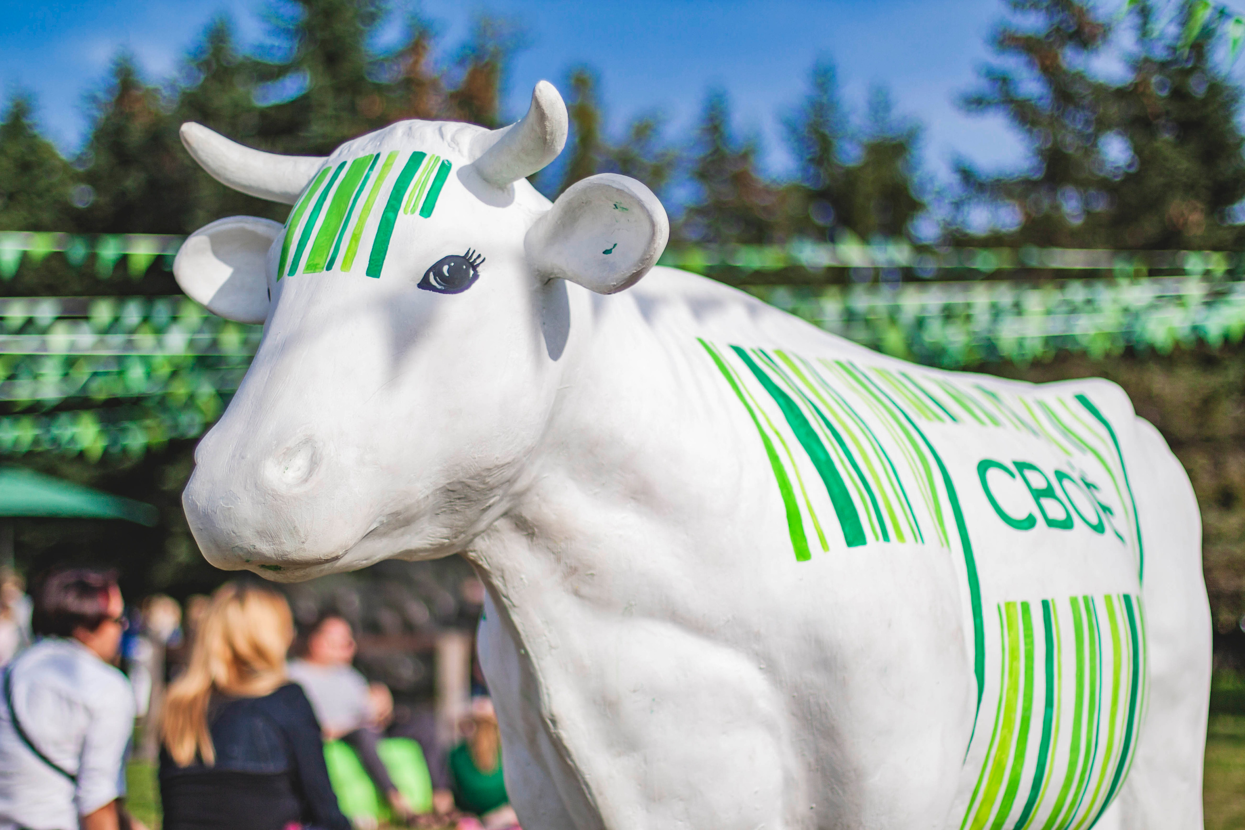 Свое хозяйство В.Новгород 2019. Портретный фотограф в Бологое Михаил Кудрявцев