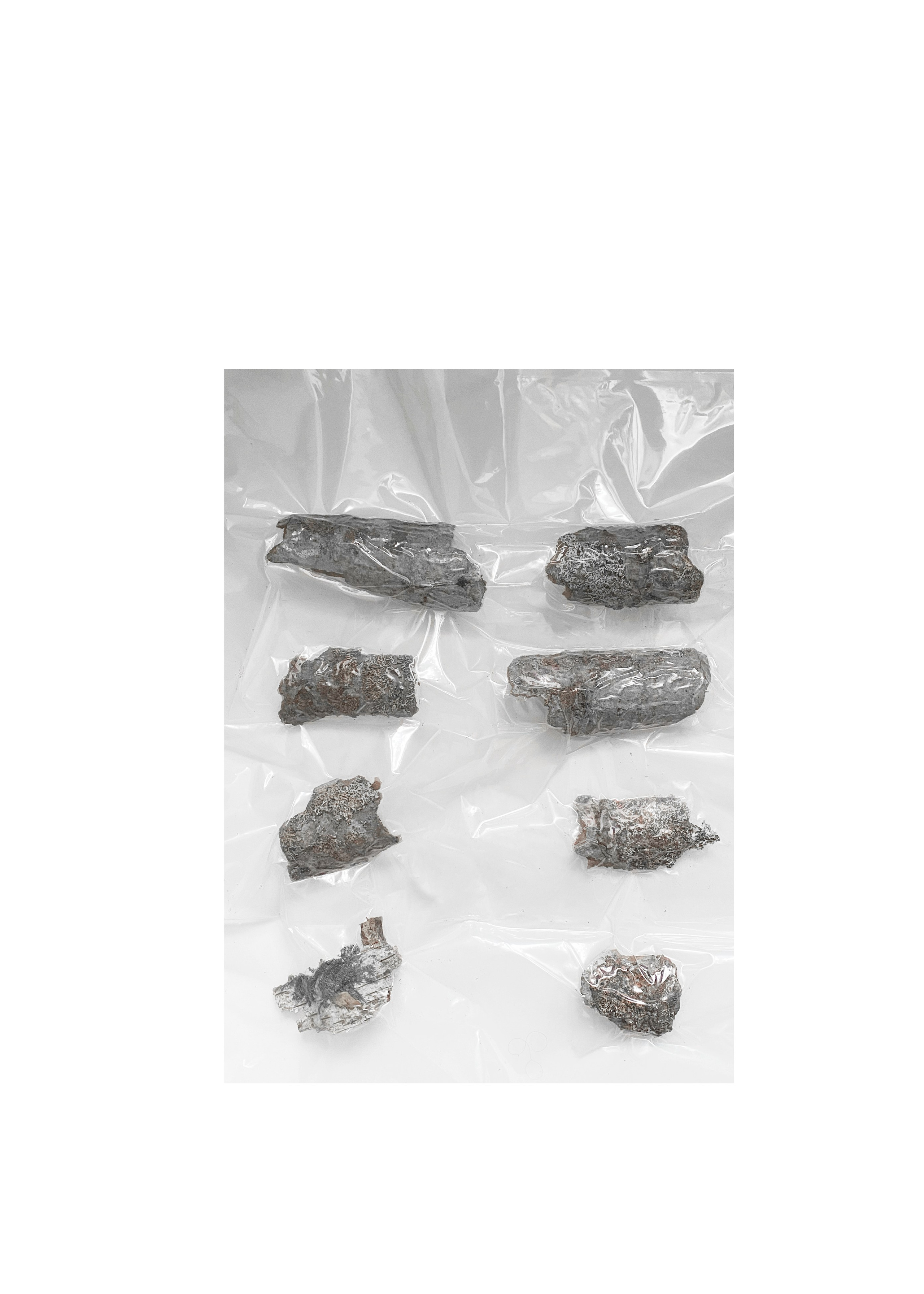 Я приношу к себе лес я себя приношу в лес. Алиса Косарева