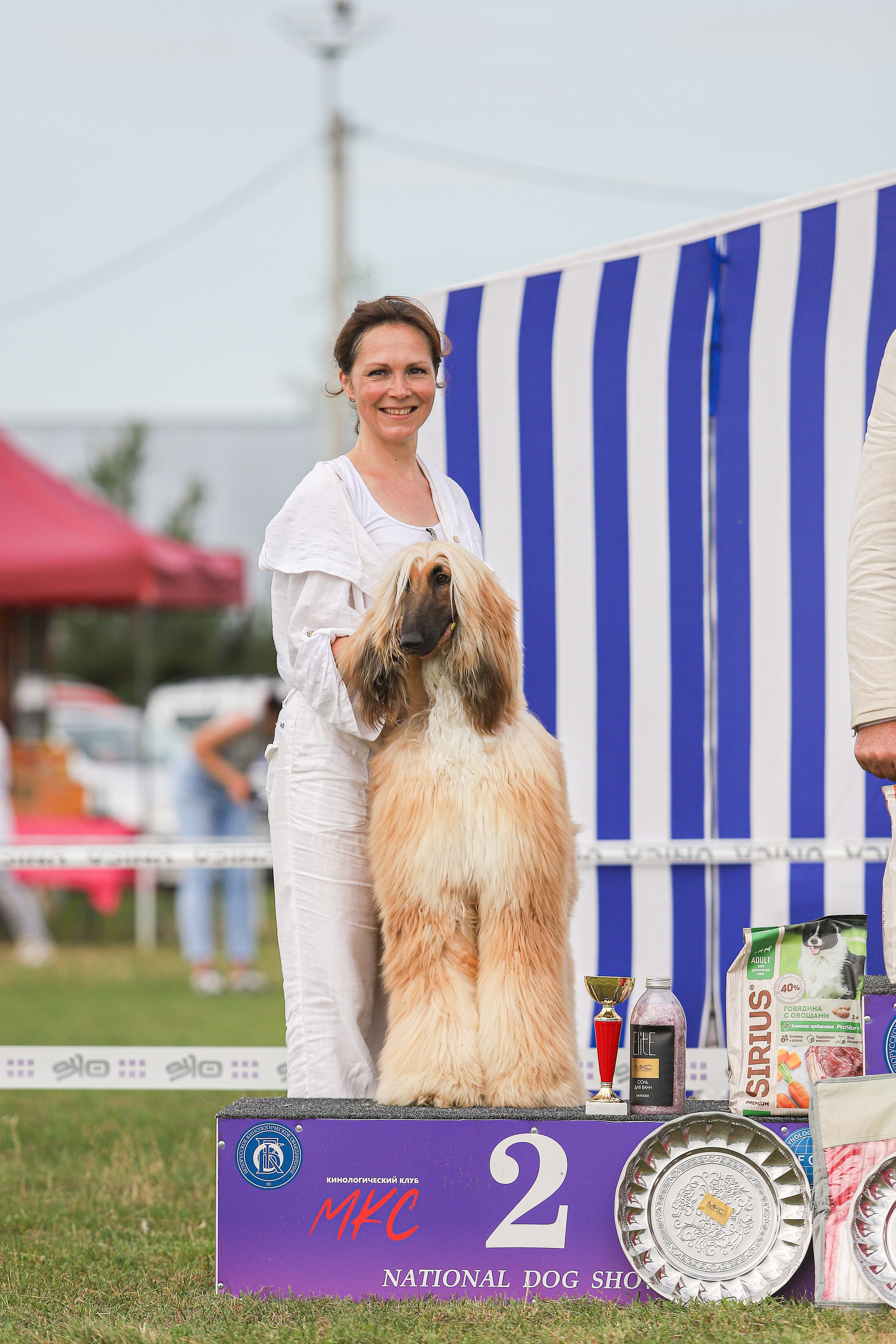 Республиканская выставка собак всех пород. Галерея фотографий афганской борзой