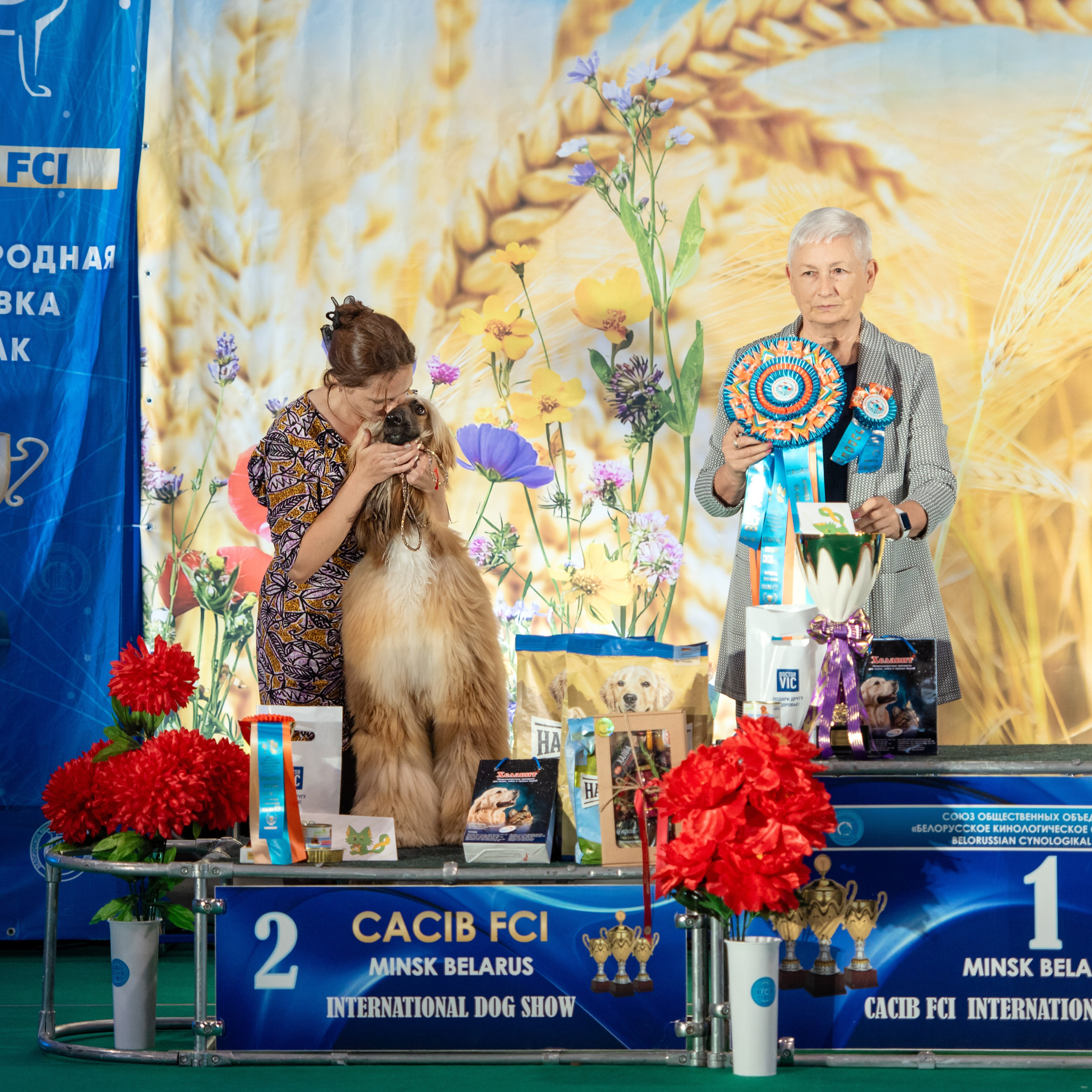 06-07.09.25 Международная выставка собак, Минск, CACIB, FCI. Галерея фотографий афганской борзой
