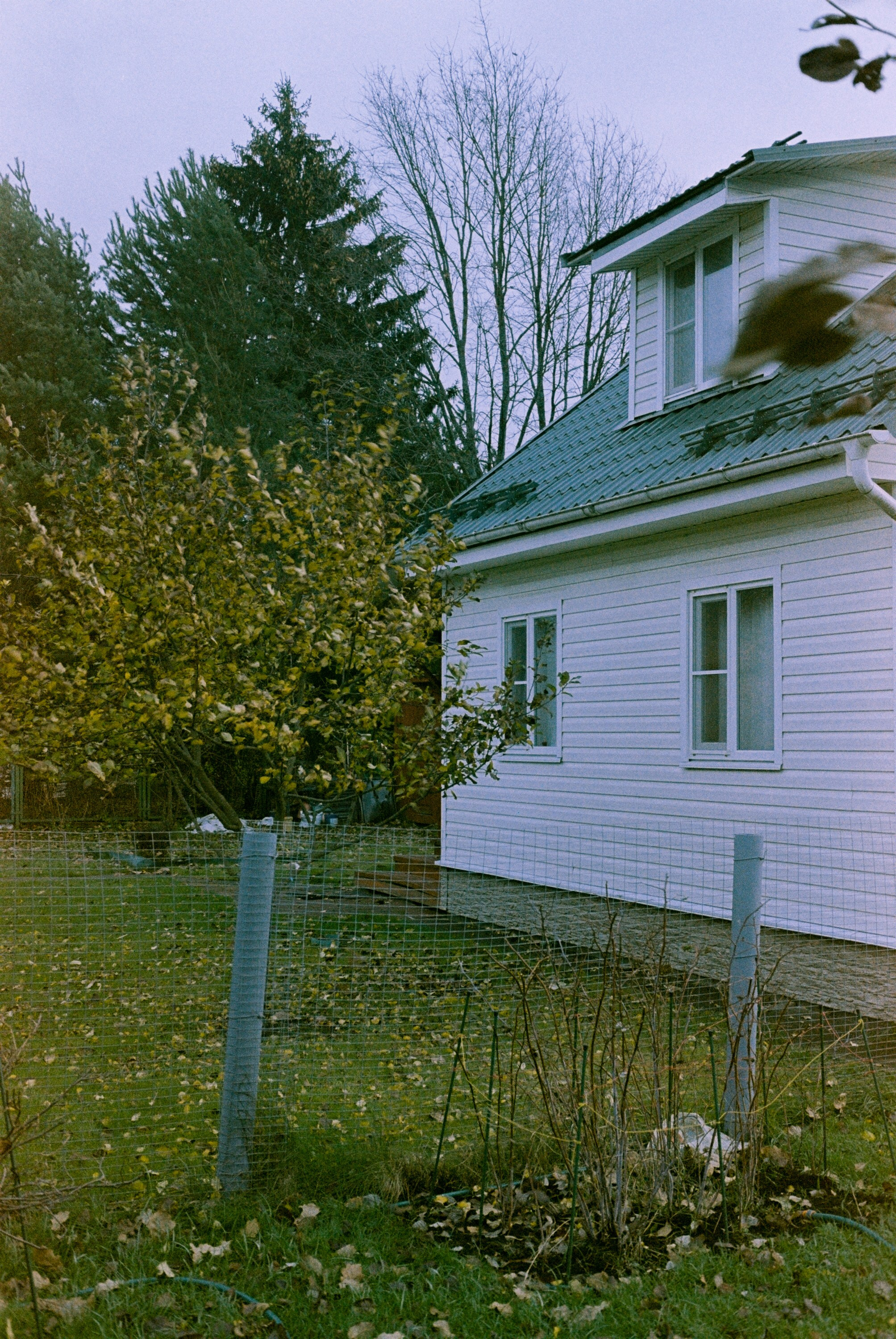 Minolta Hi-Matic 7sII / Kodak Color Plus 200 (просрочка)