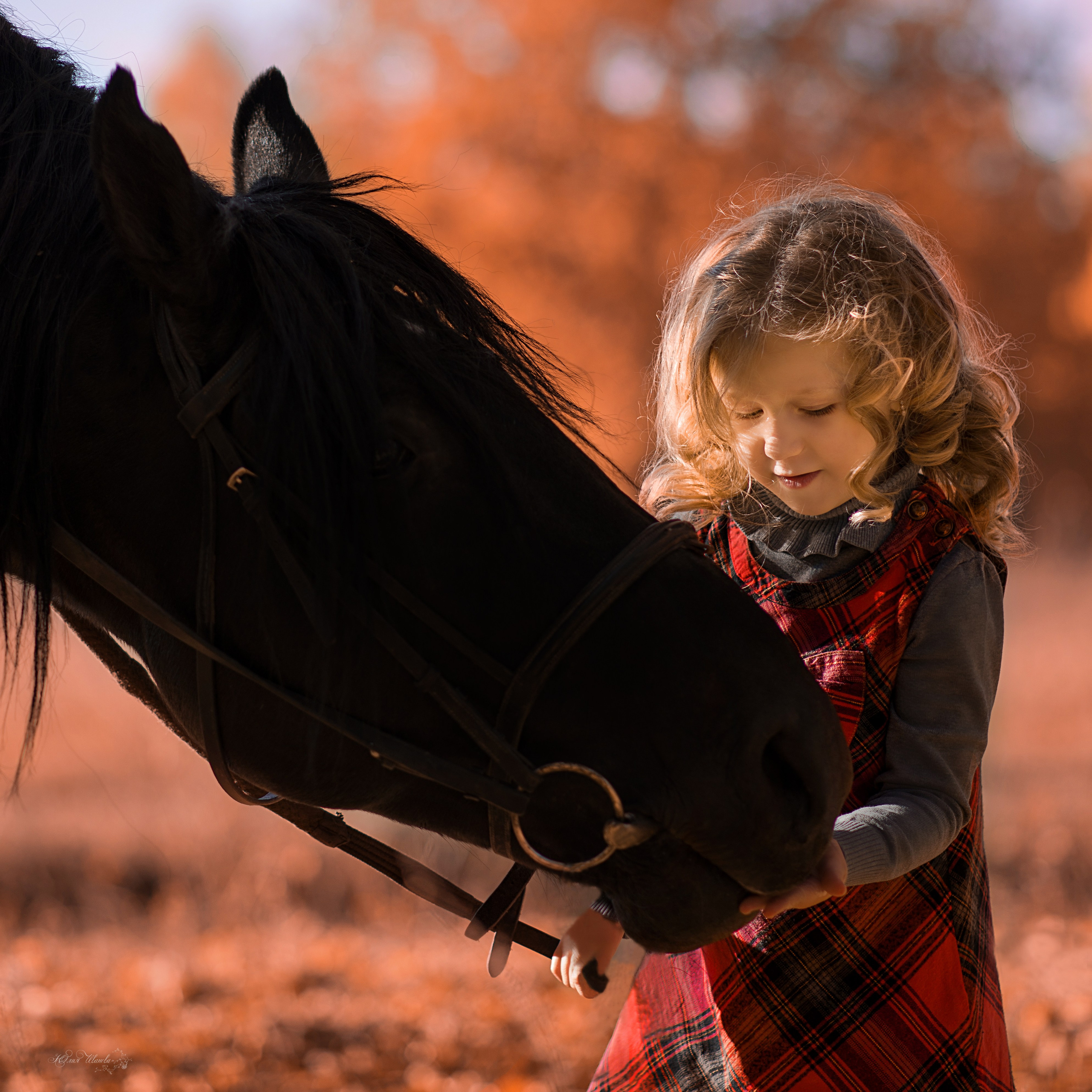Семейная съемочка с Пиратом. Конный фотограф в Саратове Юлия Иванова