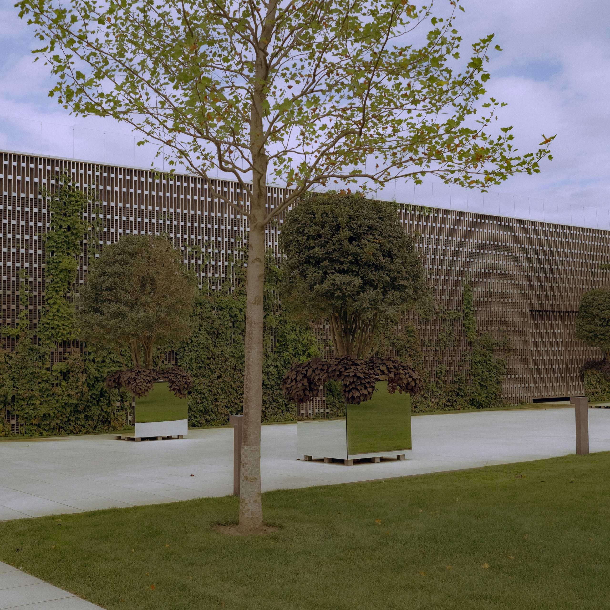 Краснодар. LIYALEE PHOTO