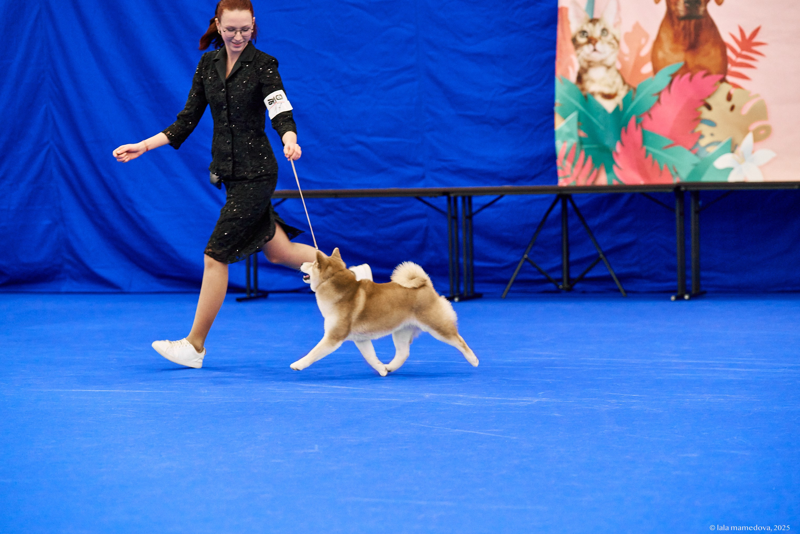 22-23 FEB 2025 | NATIONAL DOG SHOW «BALTIC TRIUMPH-2025»
