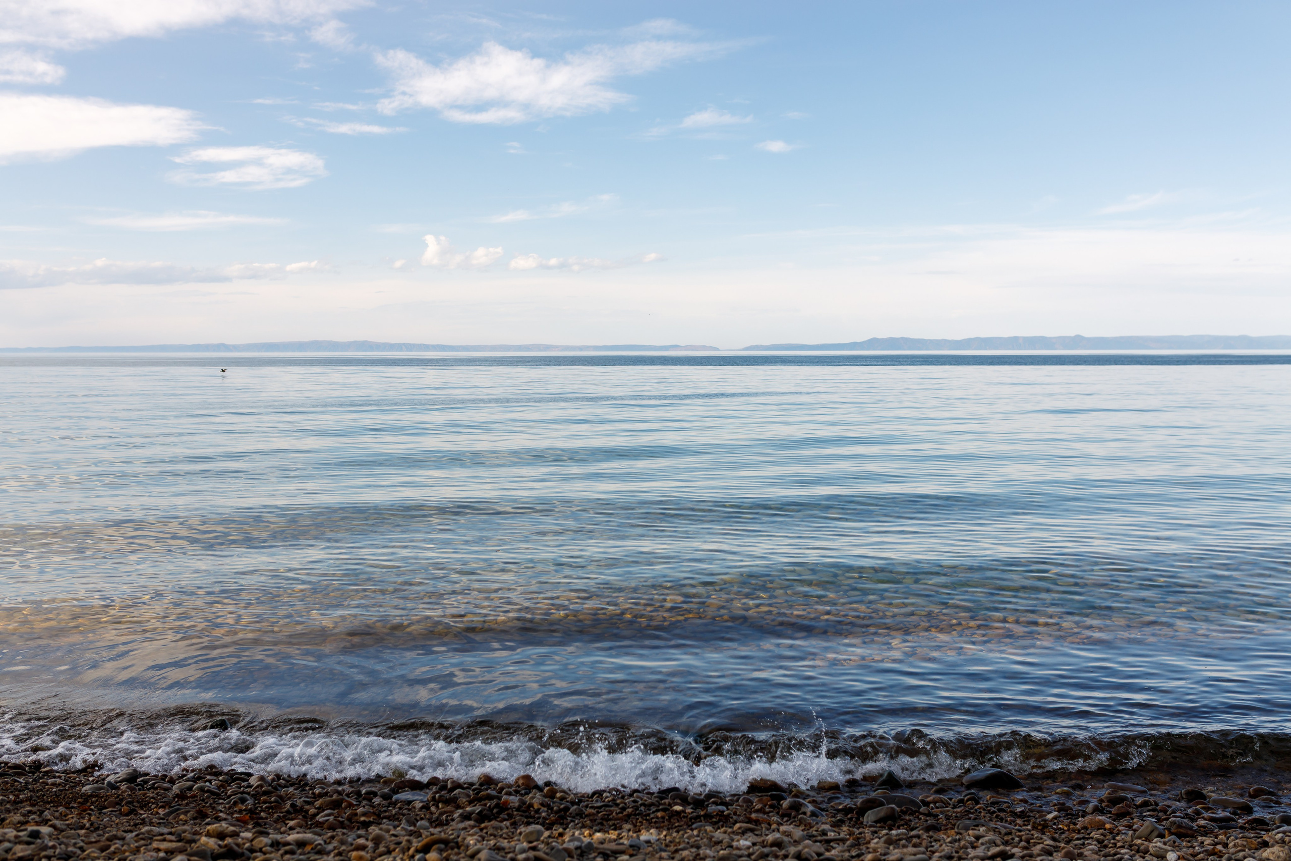 Эко — парк «Танхой». Осенняя съемка. Интерьерный, предметный и контент фотограф в Иркутске Наталья Карпова
