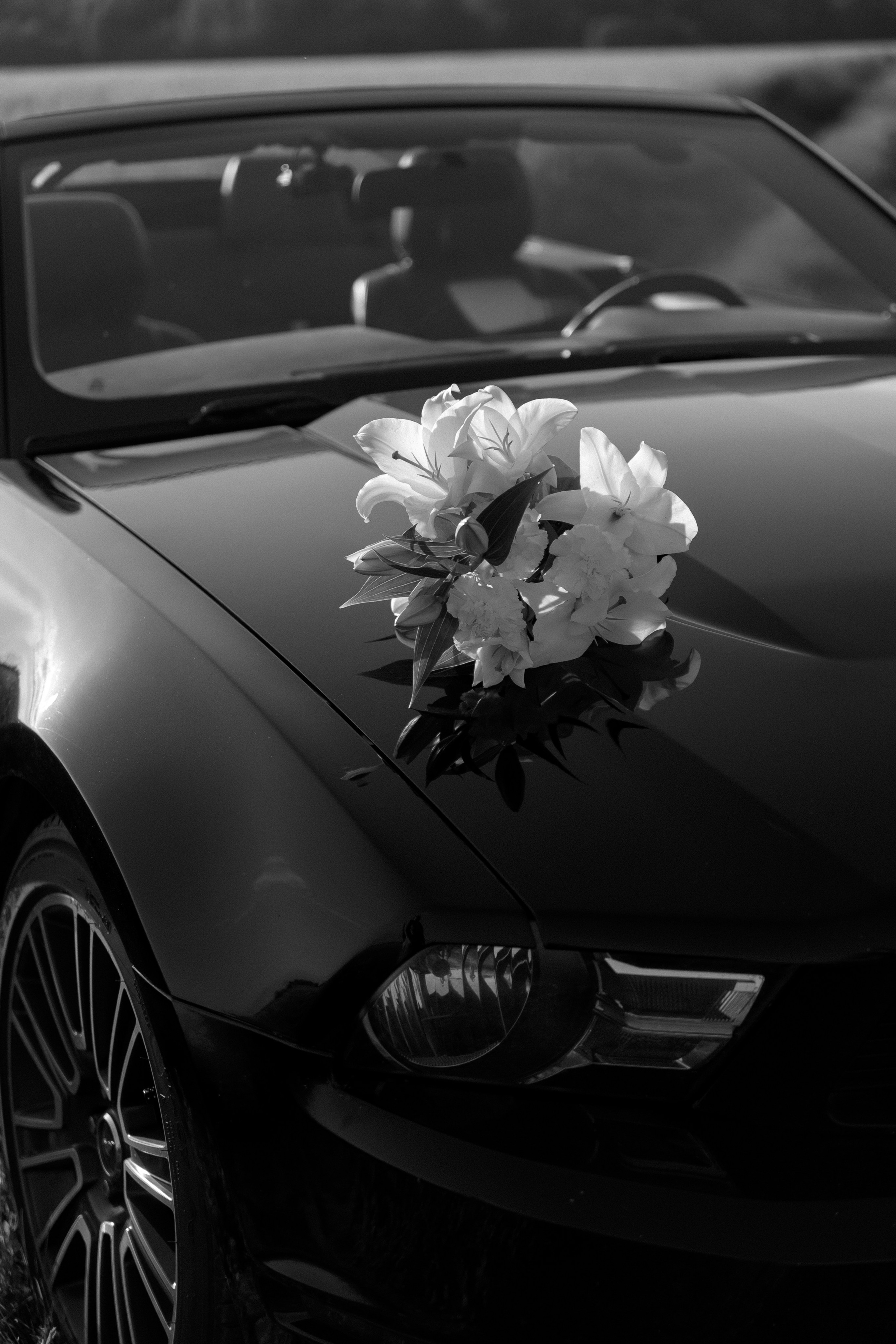 Портфолио//LOVE STORY. Фотограф Тюмень Пушковская Кристина