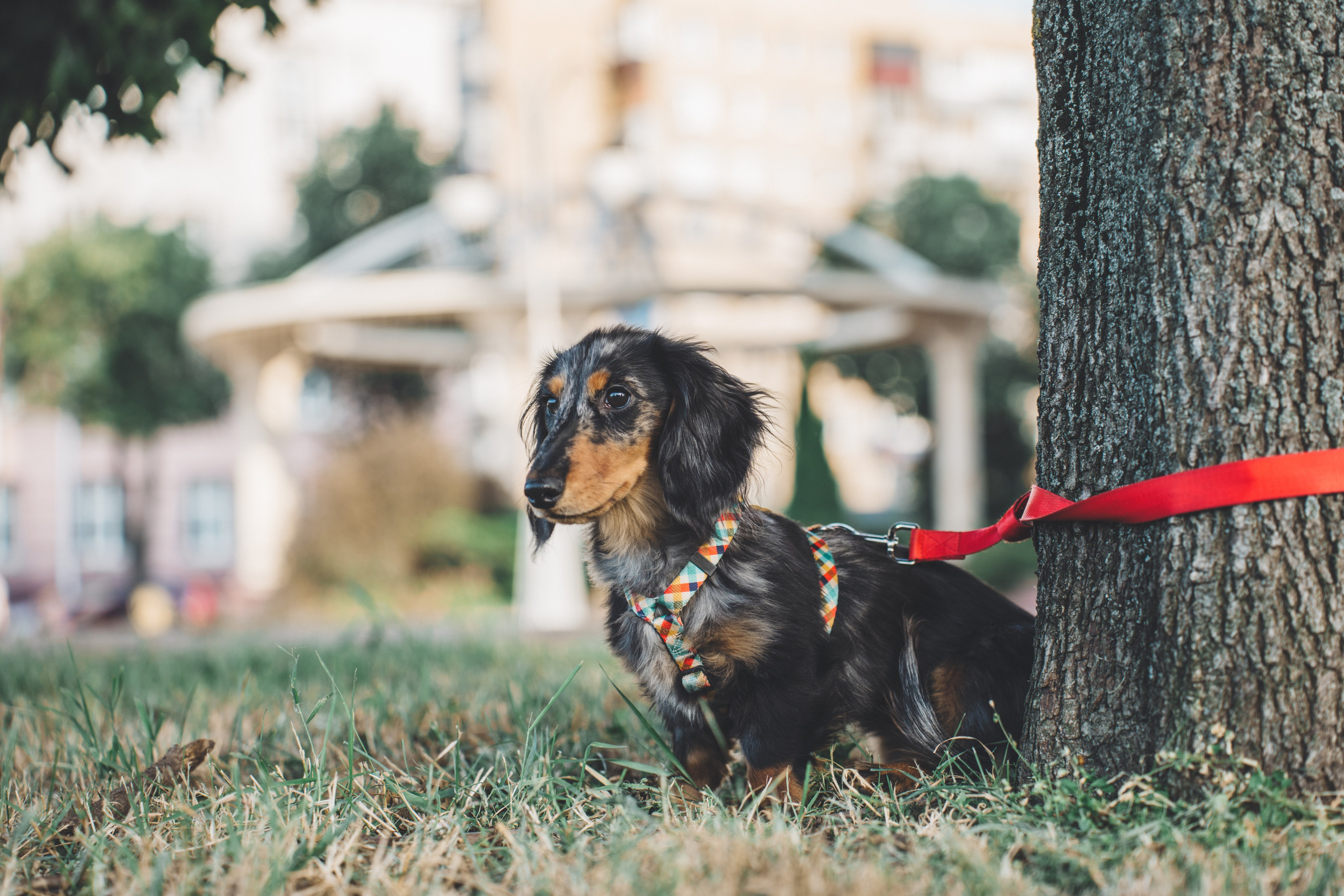 KSMU Students Graduation. Свадебный и семейный видеограф в Курске