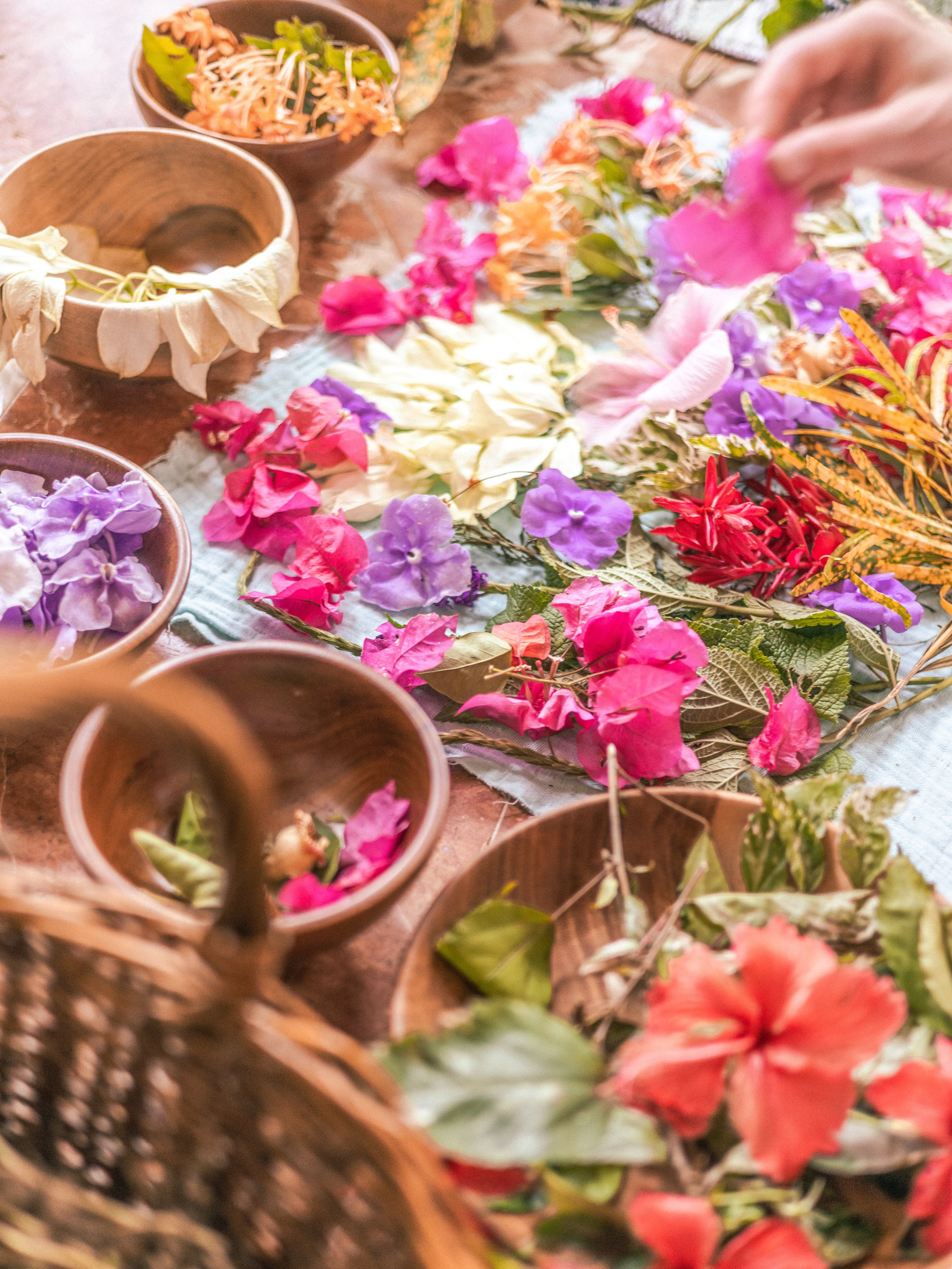 Swaddling practice by Nana. Family, portrait, content photo in Costa Rica Evgeniya Besprozvannykh