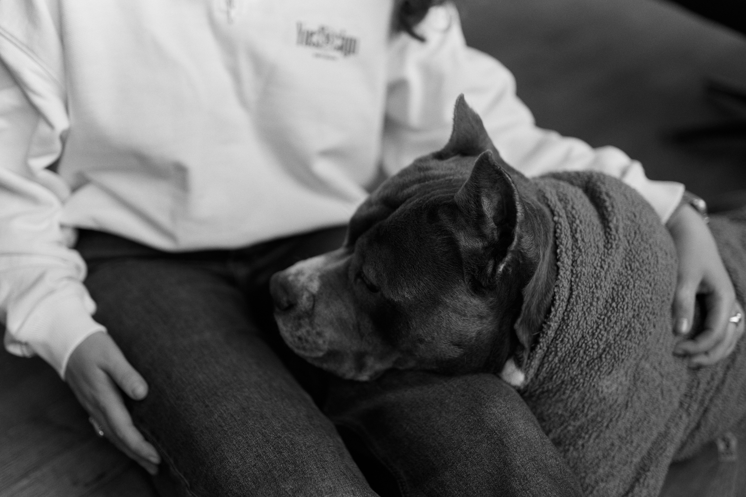 Юля и Север. Ваш душевный фотограф