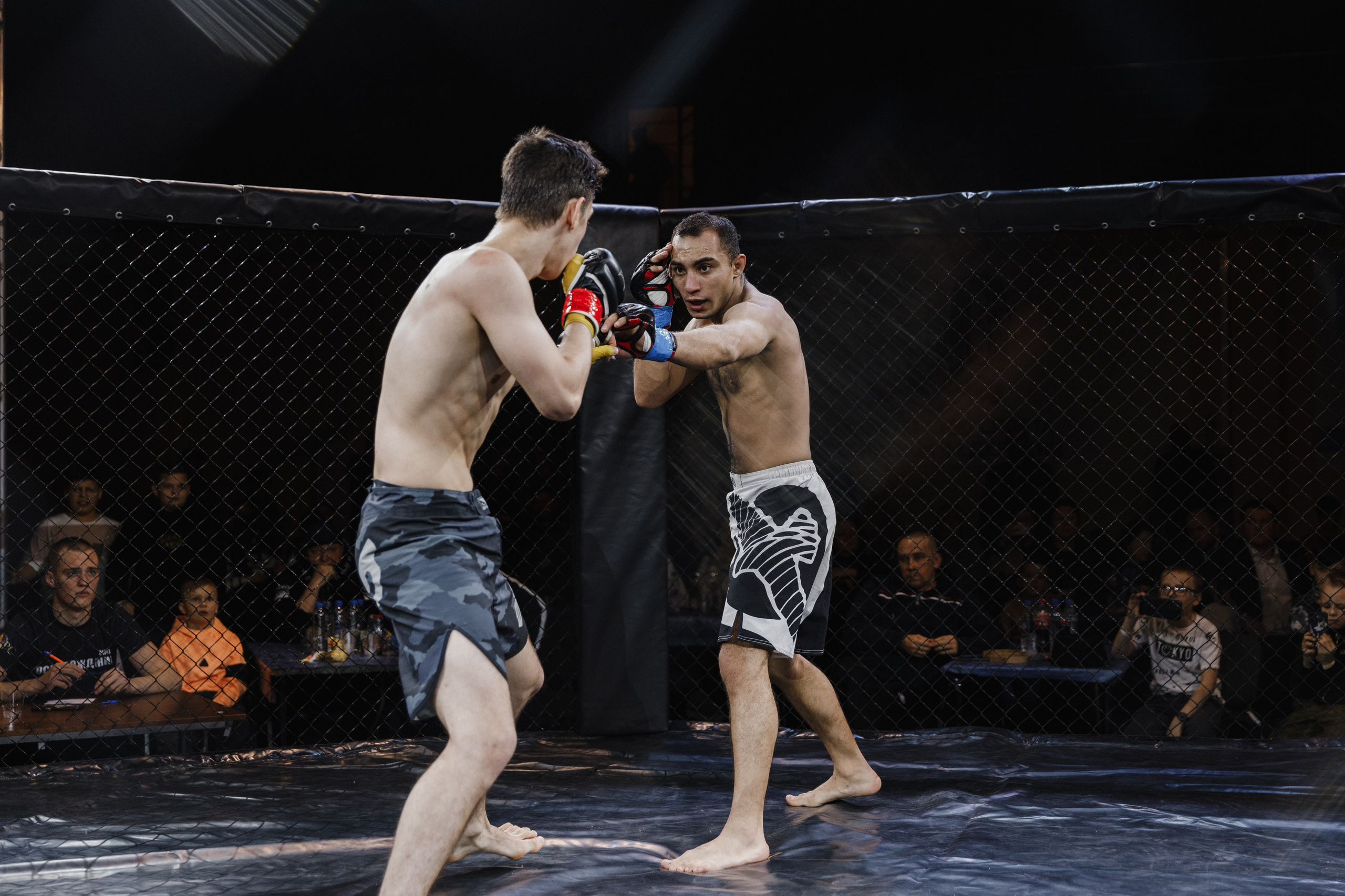 Турнир по ММА «Освобождение» 2023 г. Истра. Свадебный фотограф Фадеева Алёна