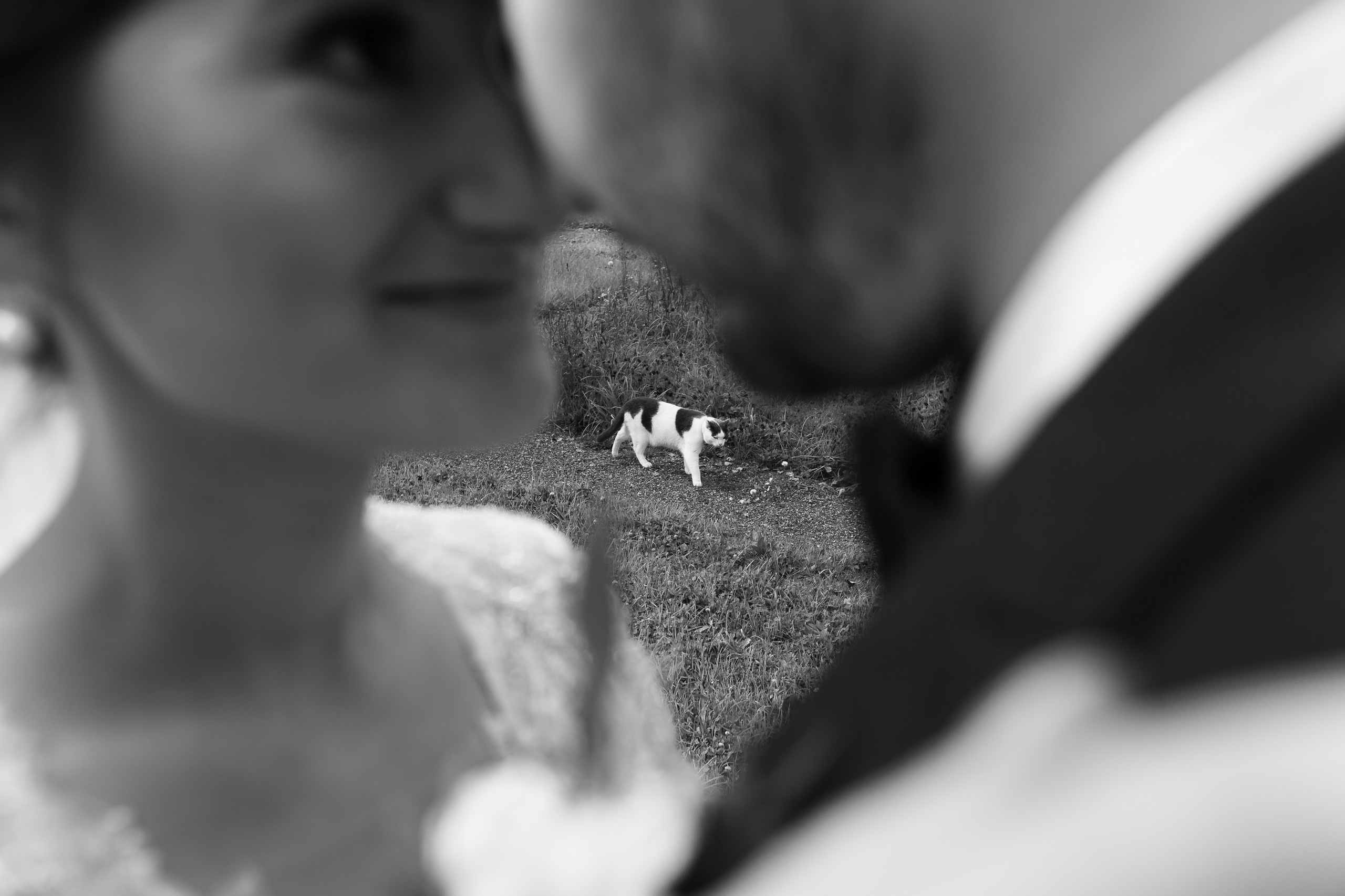 Екатерина и Юрий. Фотосъёмка Сочи, Адлер, Красная Поляна