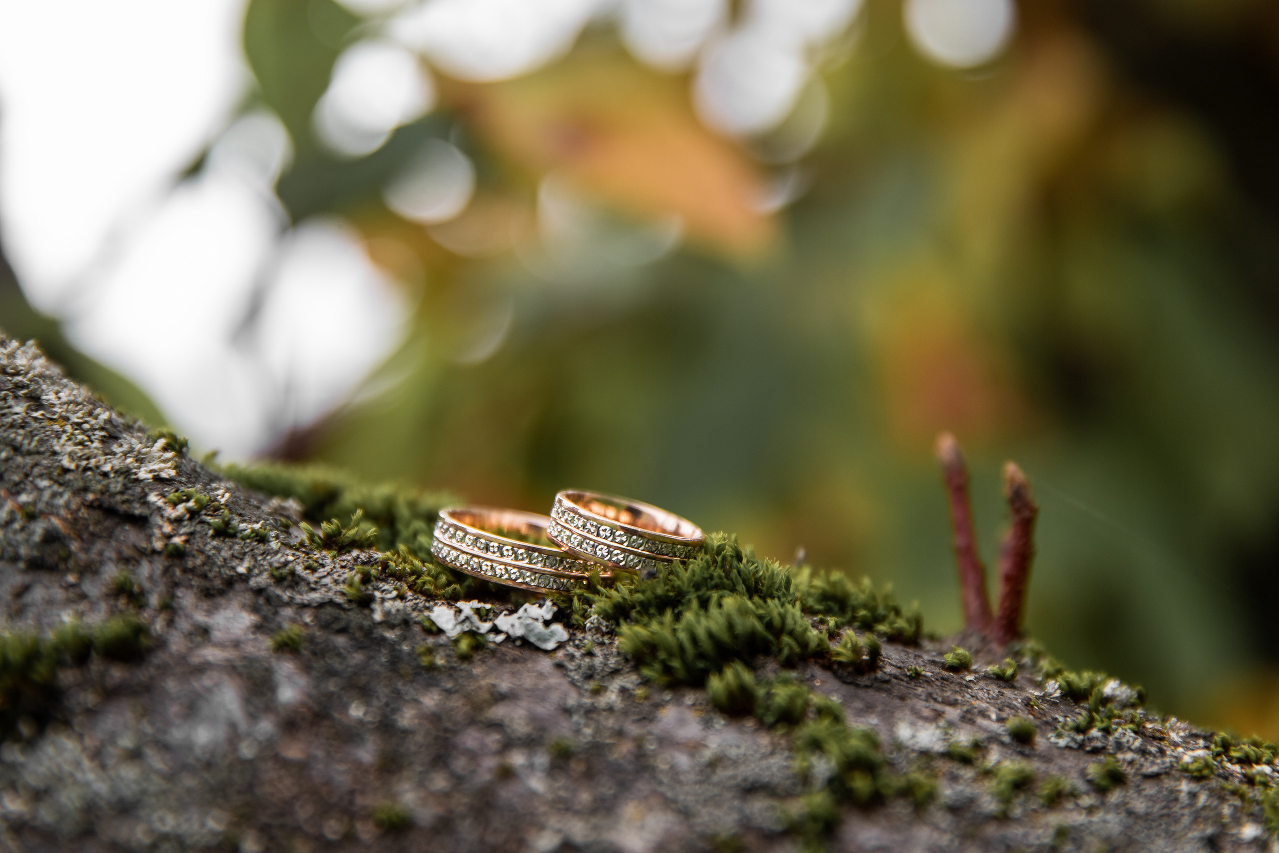 Екатерина и Юрий. Фотосъёмка Сочи, Адлер, Красная Поляна