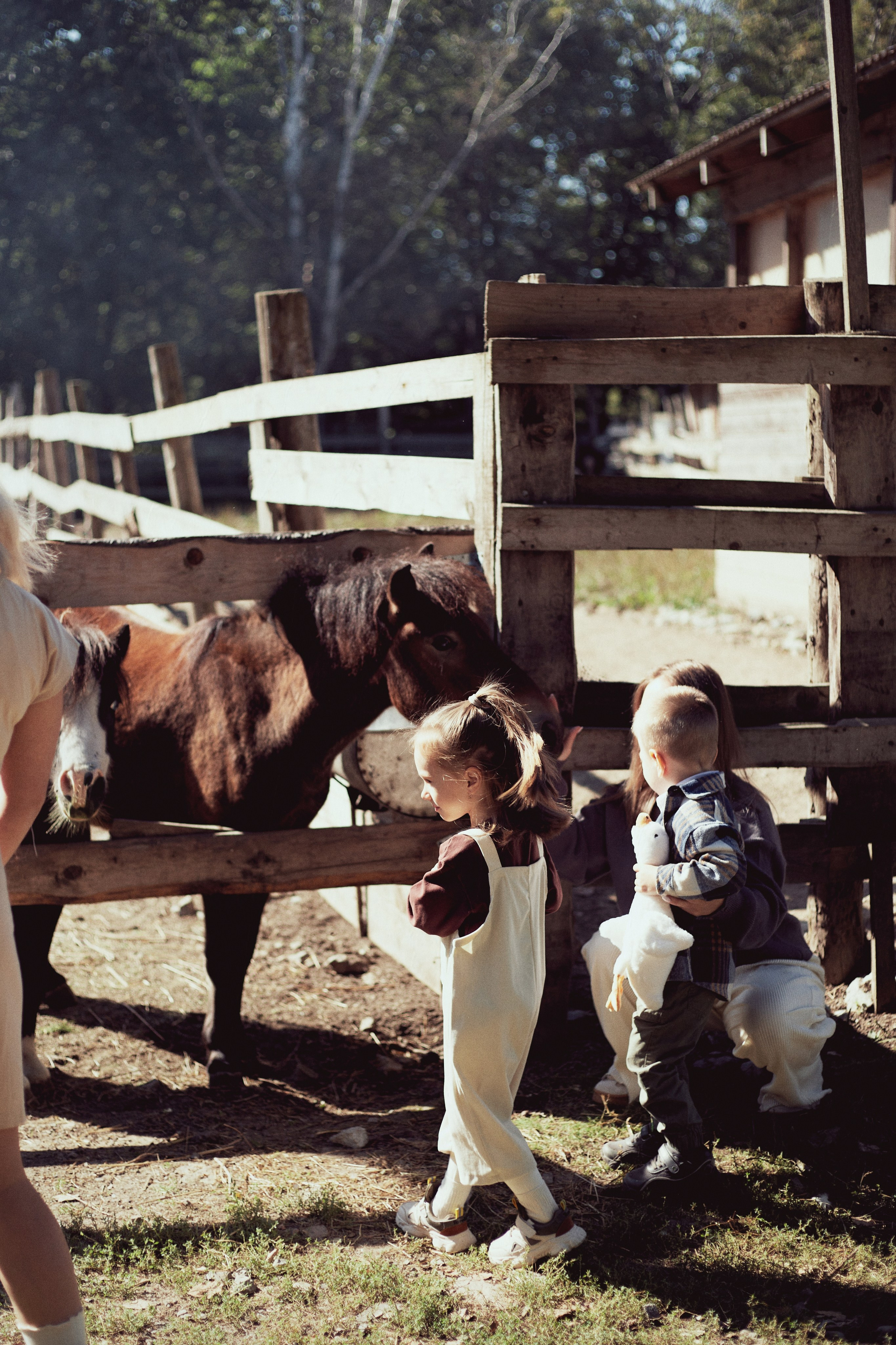 Зоопарк. Фотограф Ионова Анастасия, г Владивосток
