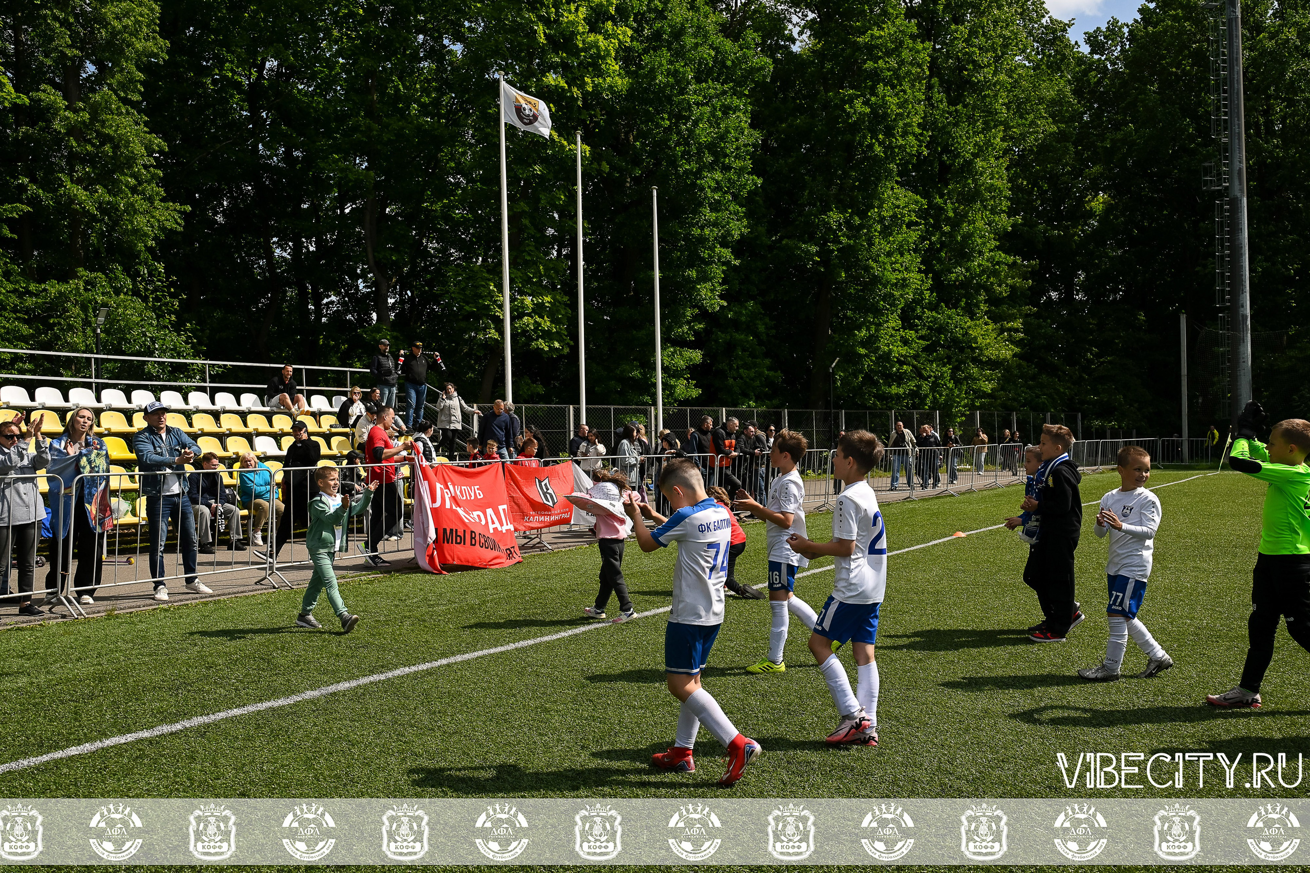 Большие Звезды светят Малым. VIBECITY.RU Вайб Сити Ру Фоторепортажи Фотоотчеты Калининград