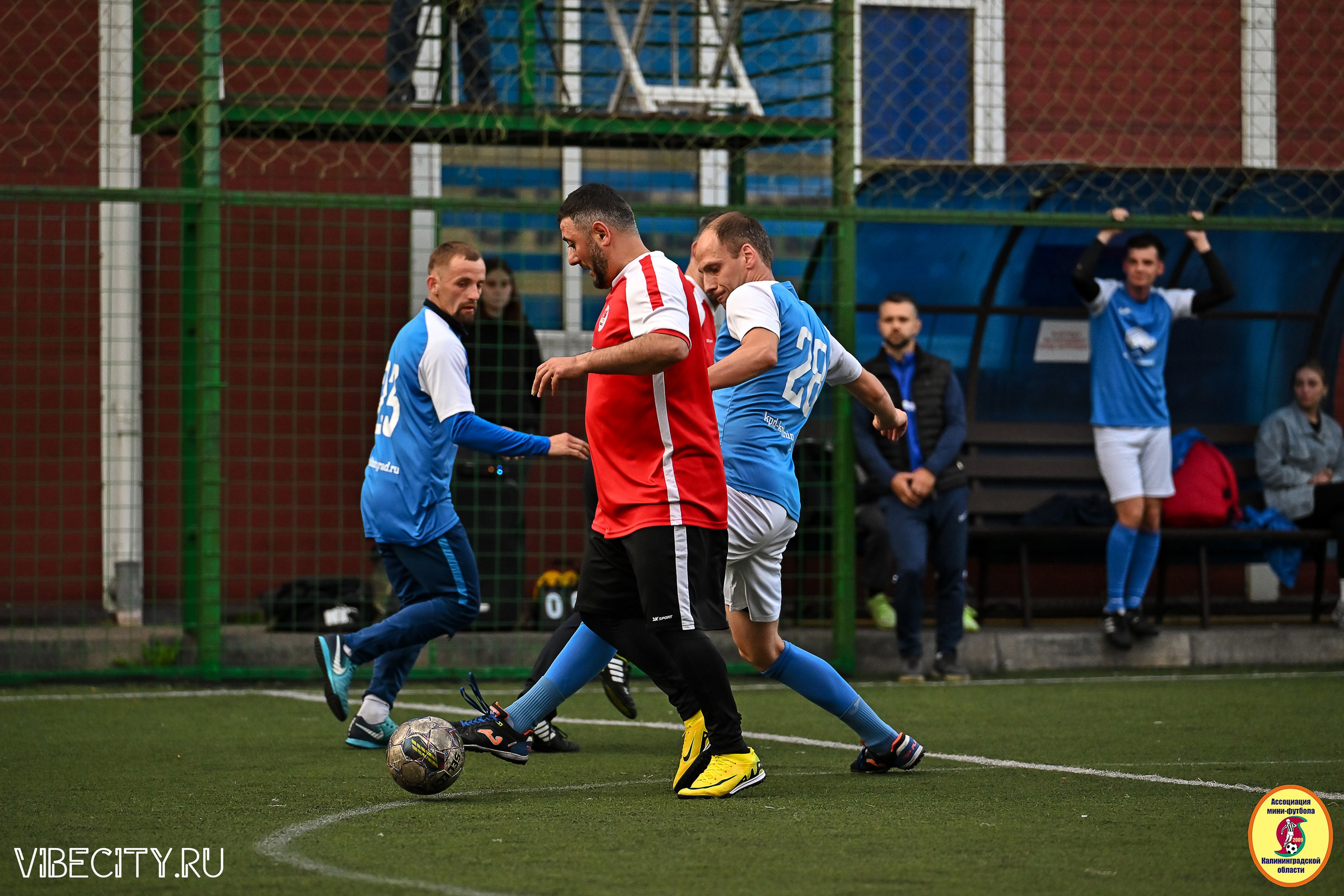 ИГРЫ МИНИ-ФУТБОЛЬНОЙ И КОРПОРАТИВНОЙ ЛИГИ. VIBECITY.RU Вайб Сити Ру Фоторепортажи Фотоотчеты Калининград