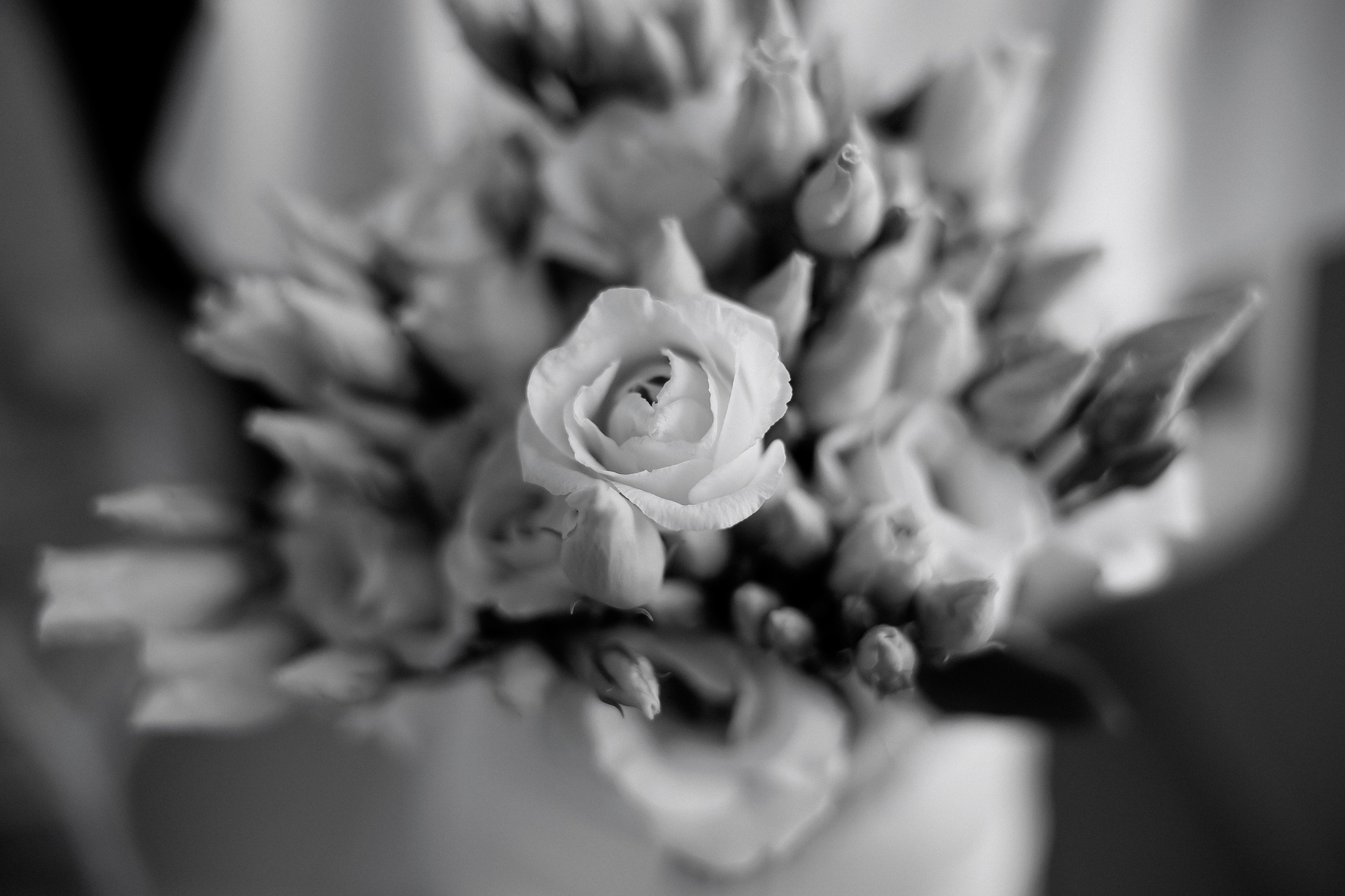 Антонина и Игорь. Свадебный фотограф Роман Медведев , Минск, Беларусь