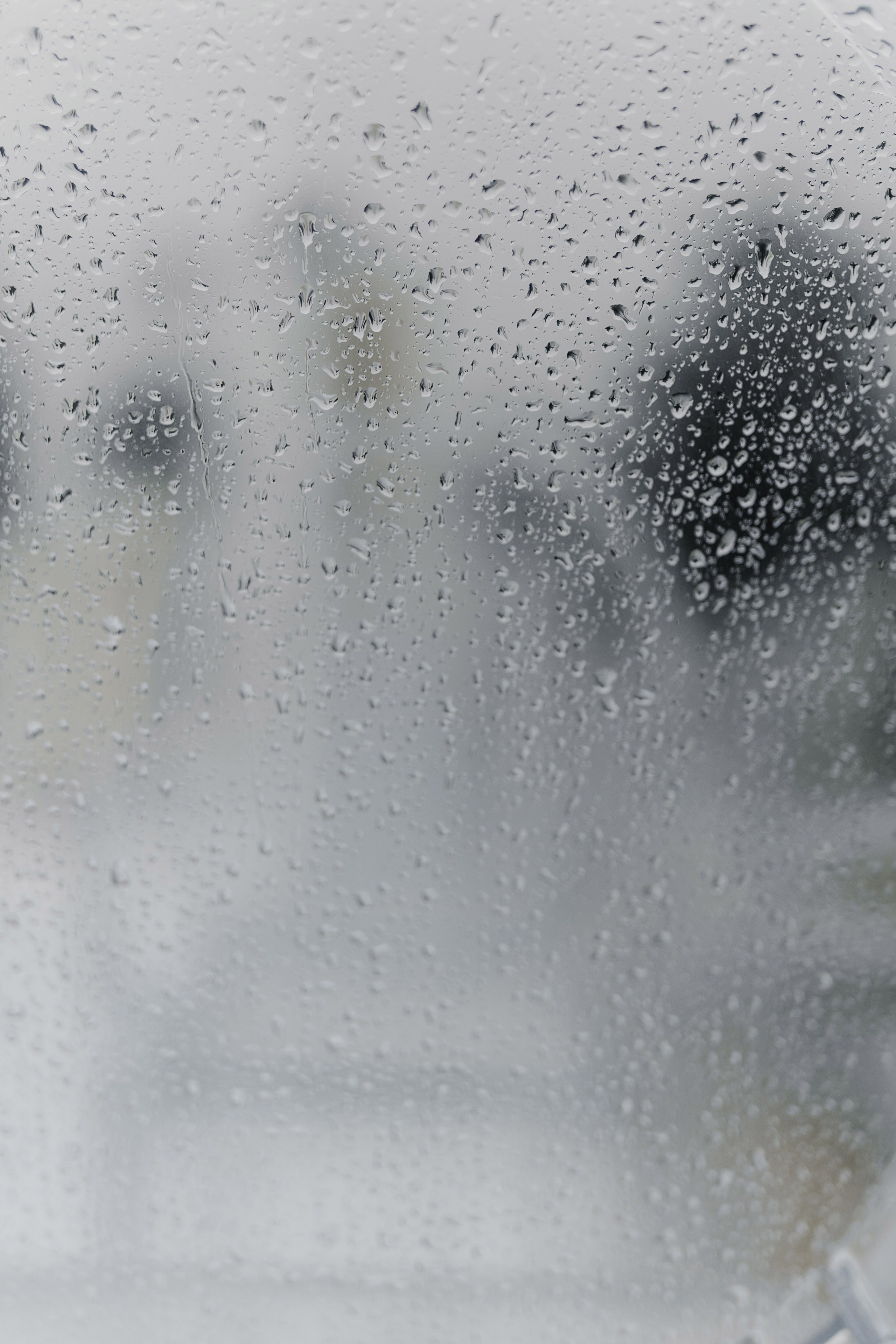 IT MAKES SENSE. Свадебный фотограф Марина Бобкова в Липецке, Воронеже, Москва