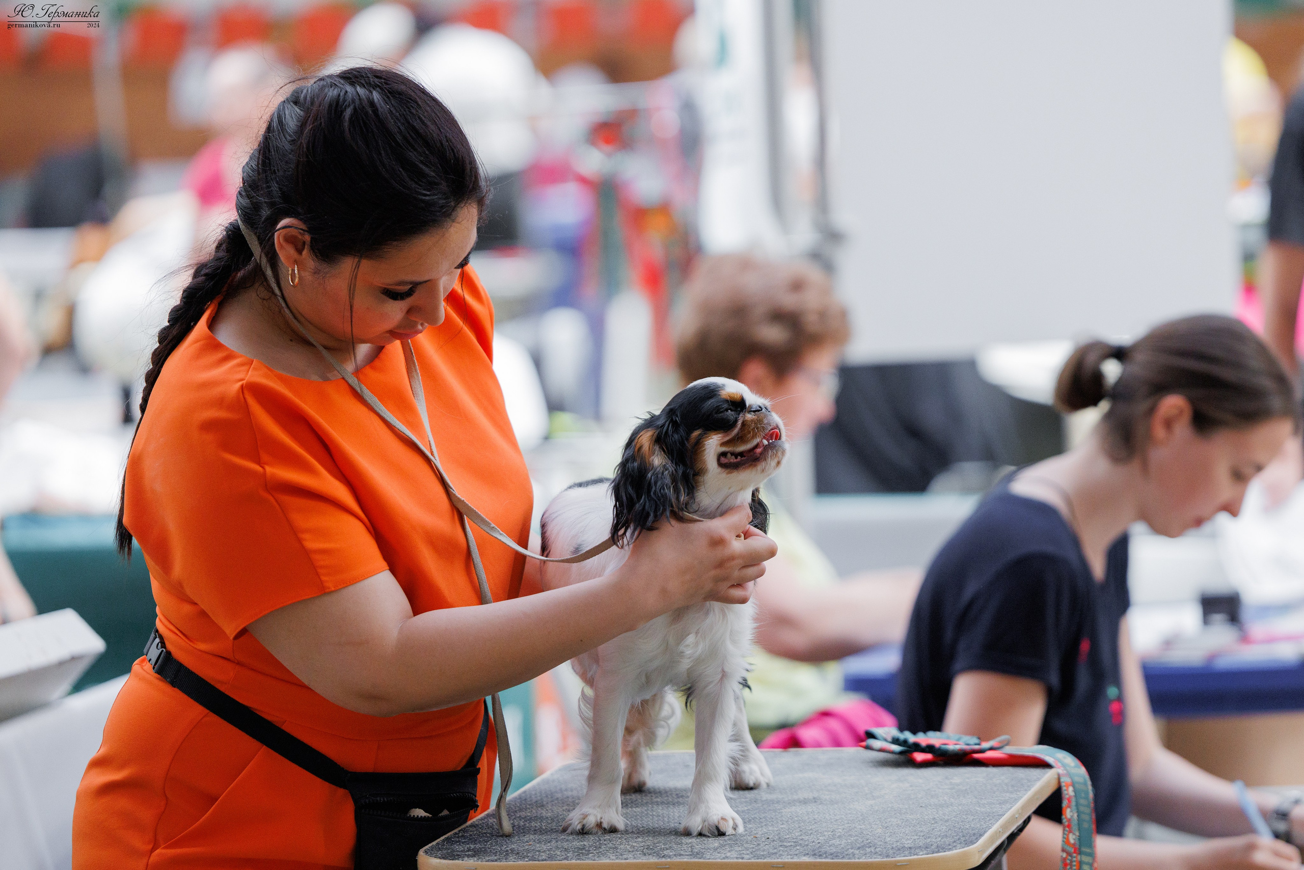 РОССИЯ 8-9.06.2024. Фотограф-анималист Юлия Германика