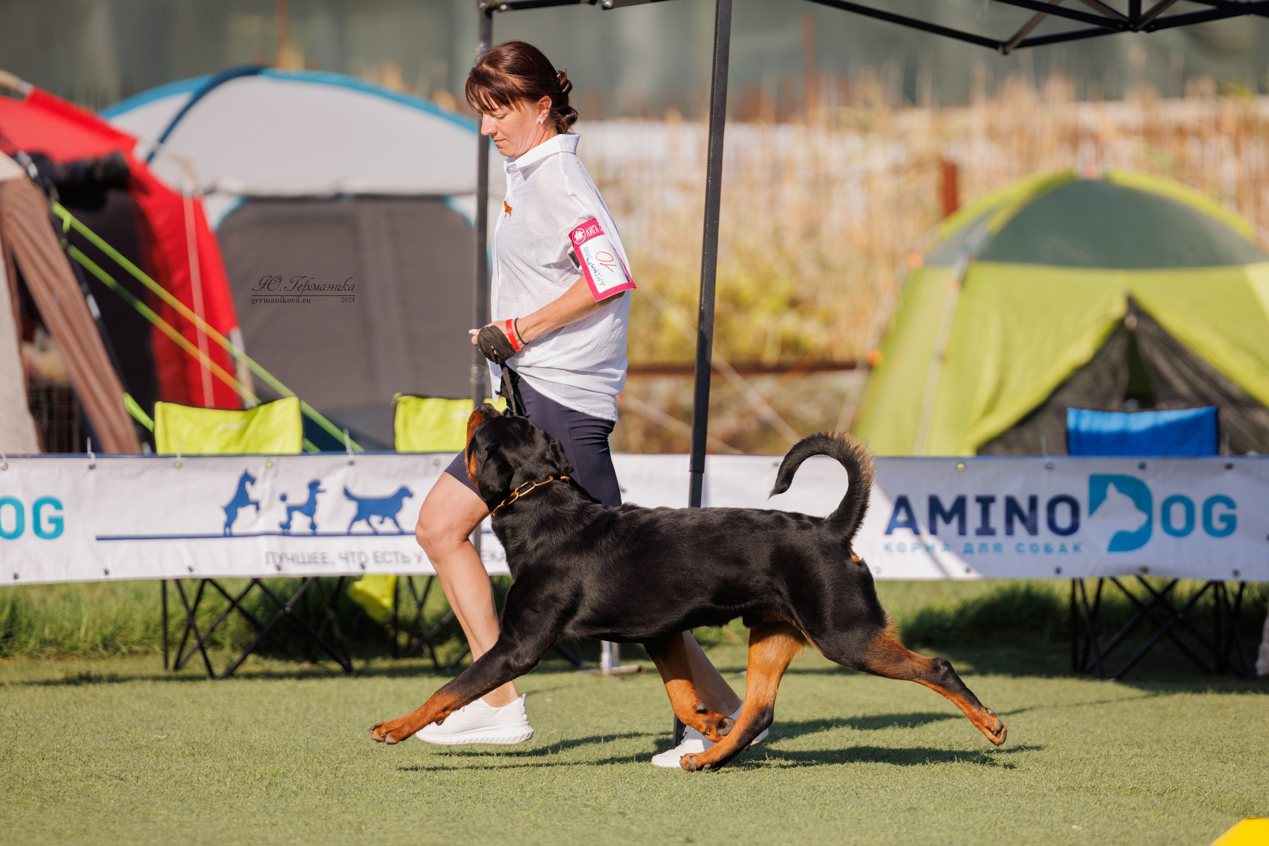 Анапа ротвейлеры 14-15.09.2024. Фотограф-анималист Юлия Германика
